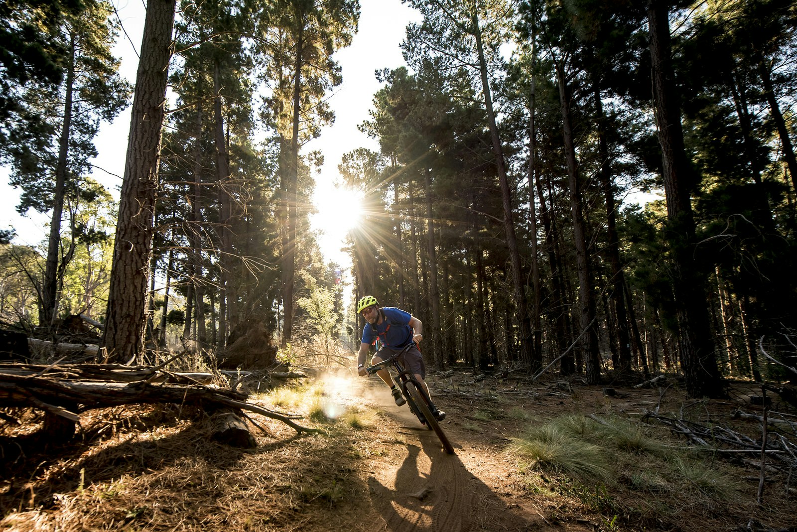 A mountain biker cycling towards the camera leans over while taking a corner on a dirt trail in a pine forest; the sun shines through the trees behind the cyclist.