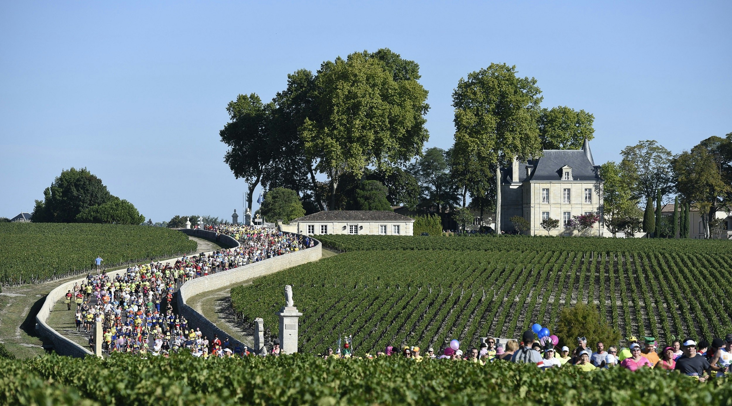 Thousands of colourfully dressed runners in the Marathon du Médoc work their way along a curving downhill section of walled road that cuts between rows of vines.