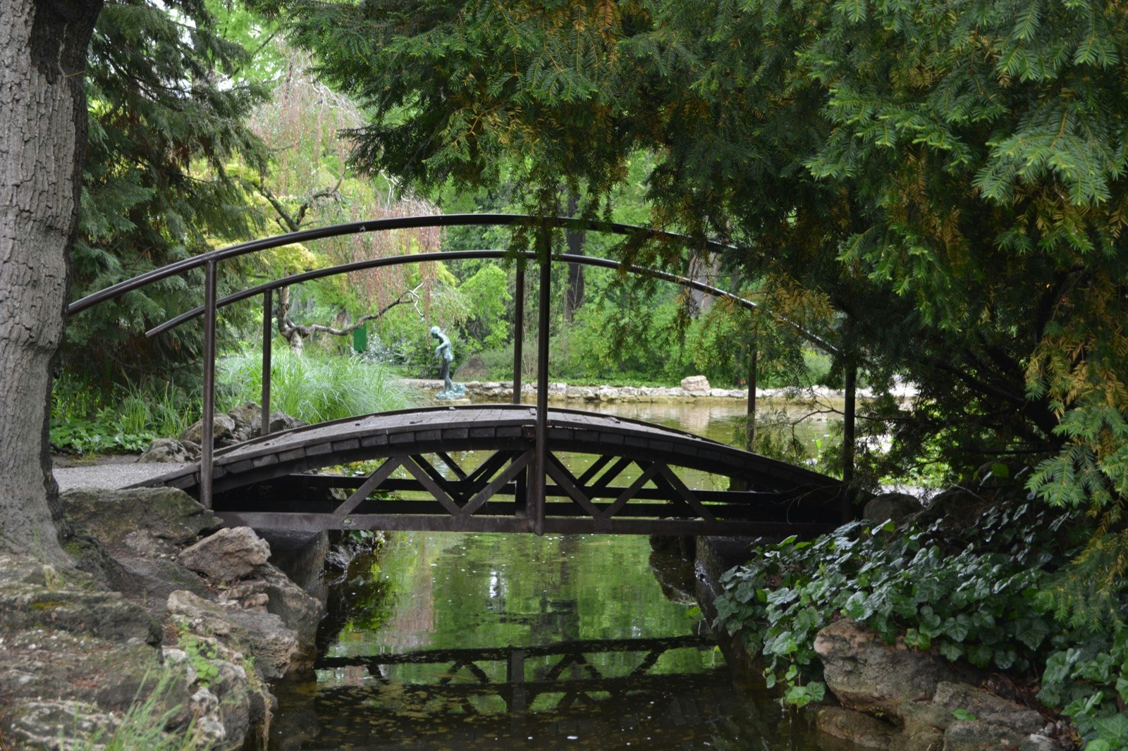 A bridge among greenery and a pond on Margaret Island in Budapest