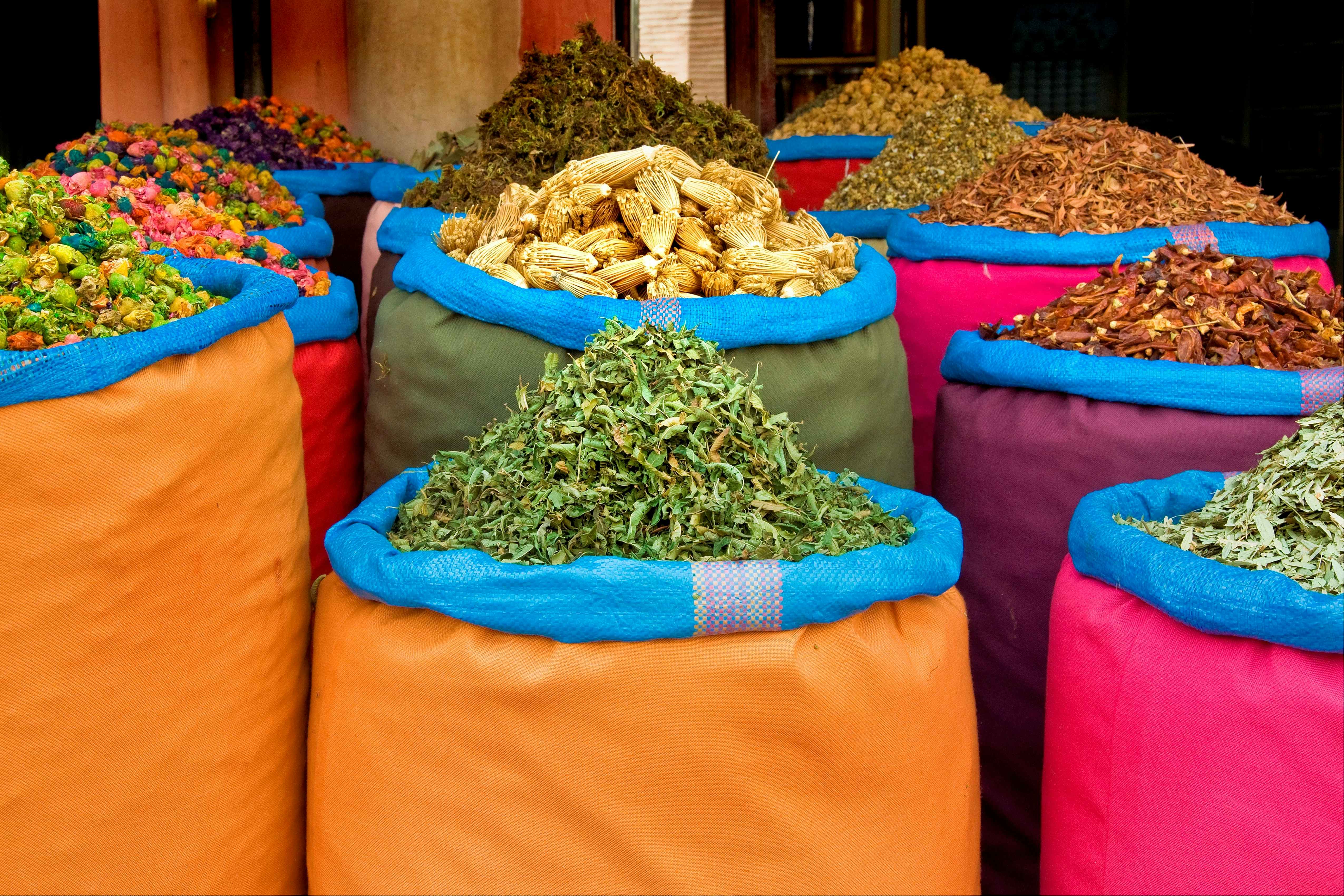 Highlights of Marrakesh