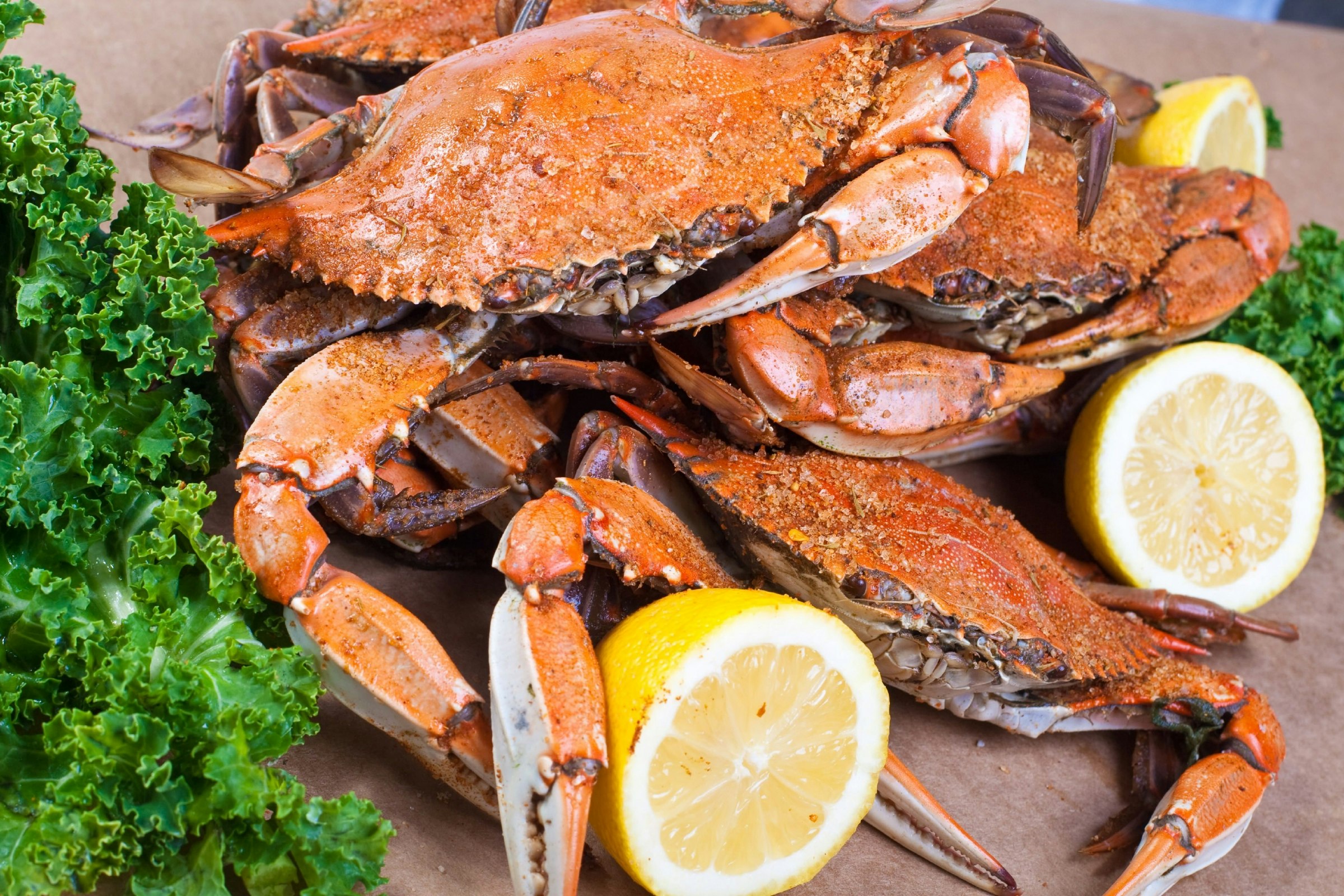 Maryland crabs.jpg