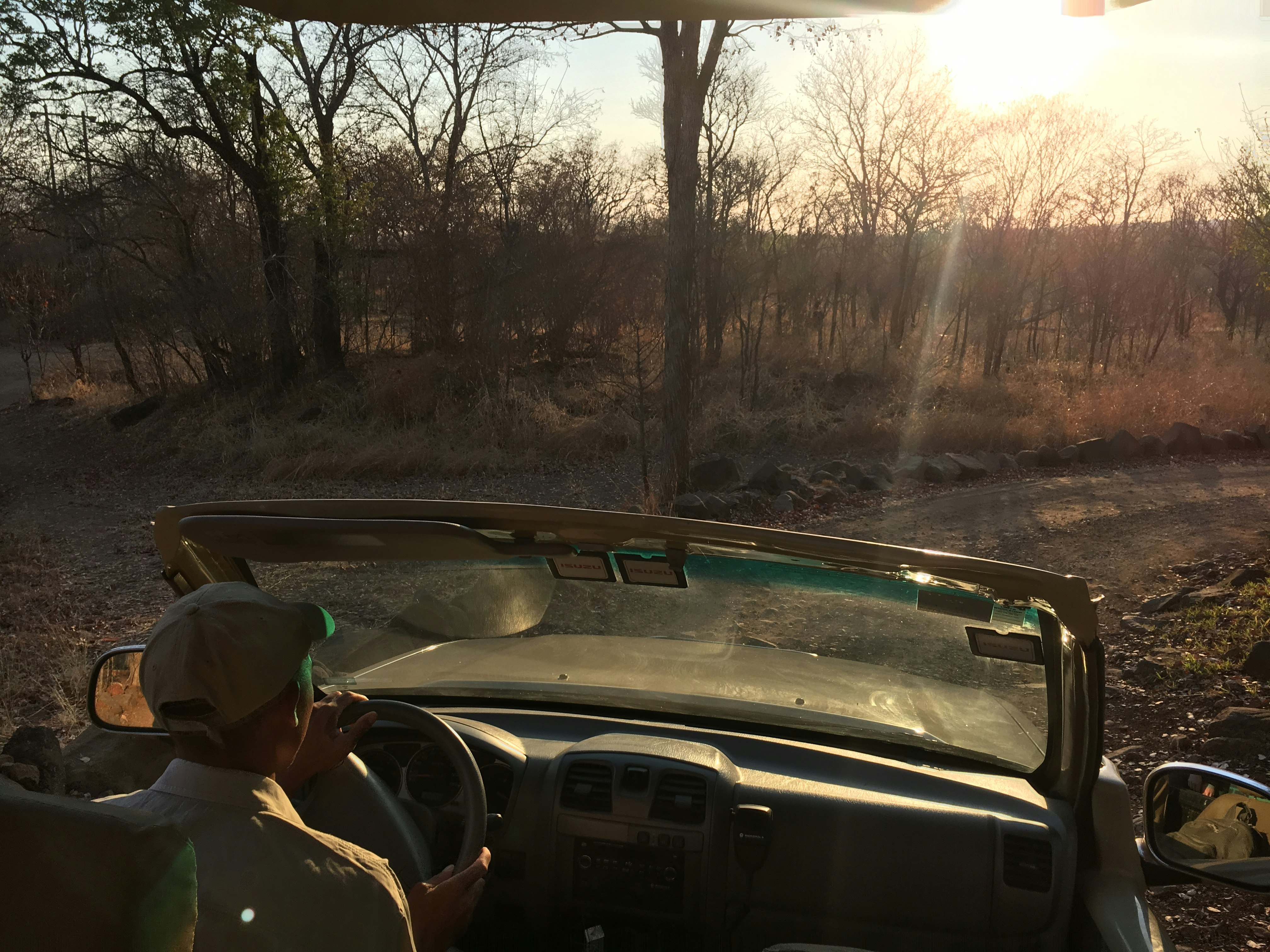 A view from the back of an open-topped 4WD safari vehicle; it looks down over the driver and hood of the truck to the dirt road head, with the sun shining brightly on the horizon.