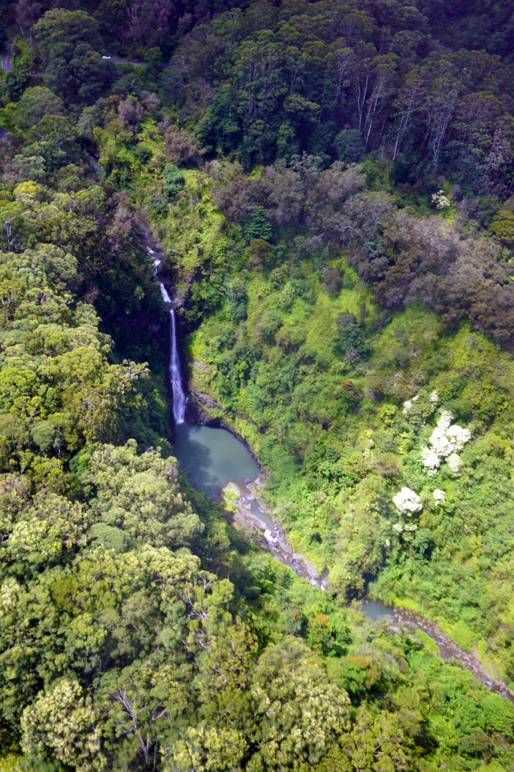 Ser ner från en helikopter på Hana-regnskogen och ett stort vattenfall som strömmar in i en lagun;  Maui platser utan turister