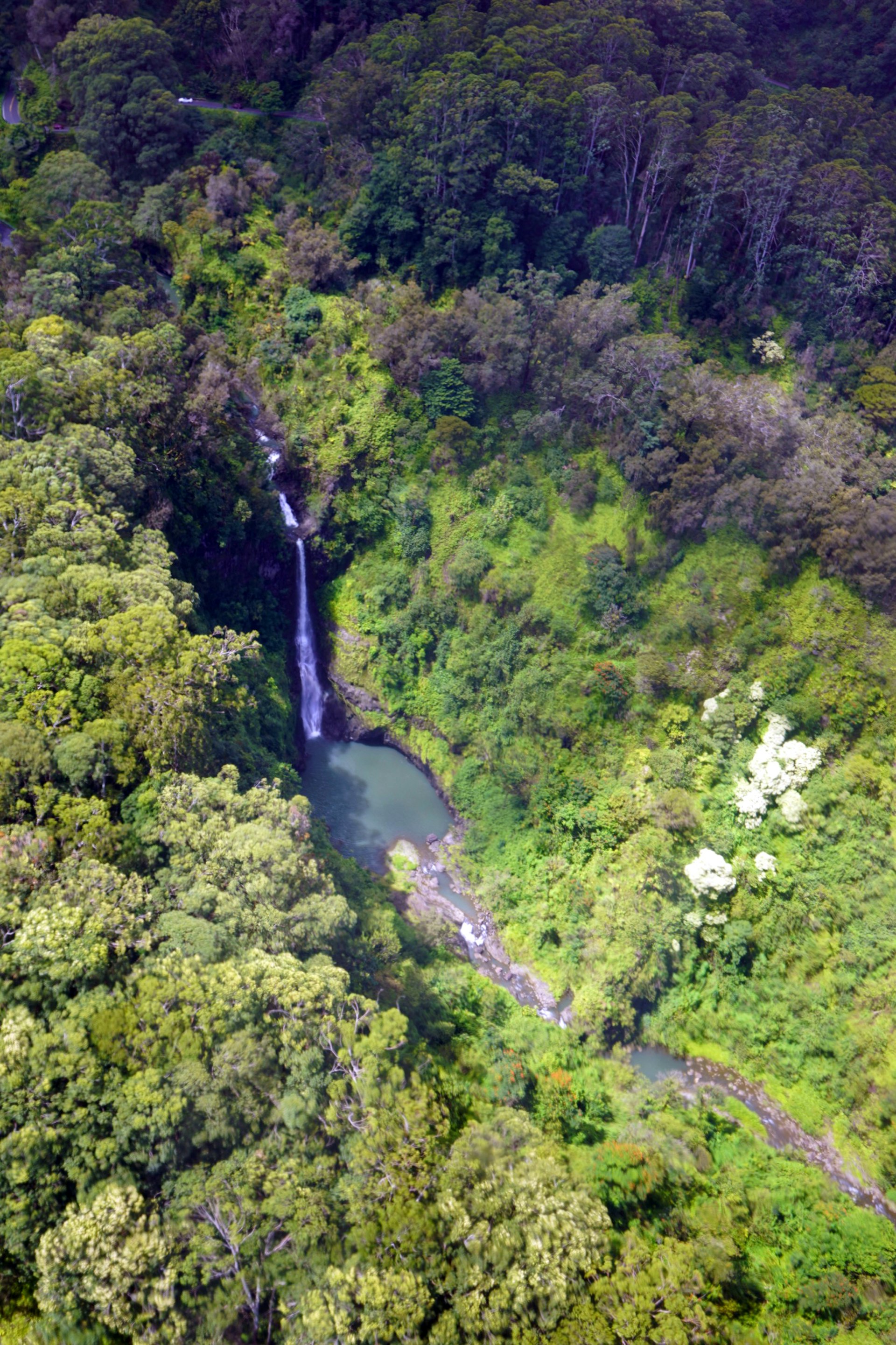 Looking down from a helicopter at the Hana rainforest and a large waterfall pouring into a lagoon; Maui sites without tourists
