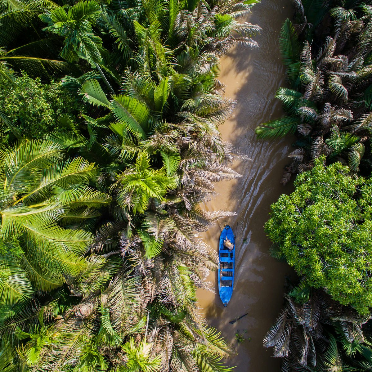 An overhead shot of a boat drifting through a Mekong coconut plantation; best day trips from Ho Chi Minh City 