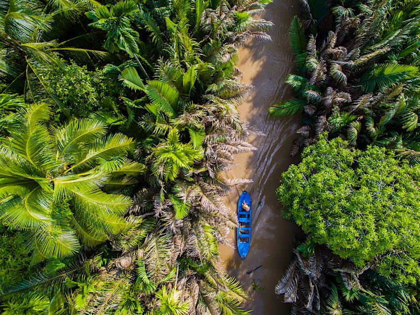 An overhead shot of a boat drifting through a Mekong coconut plantation; best day trips from Ho Chi Minh City 