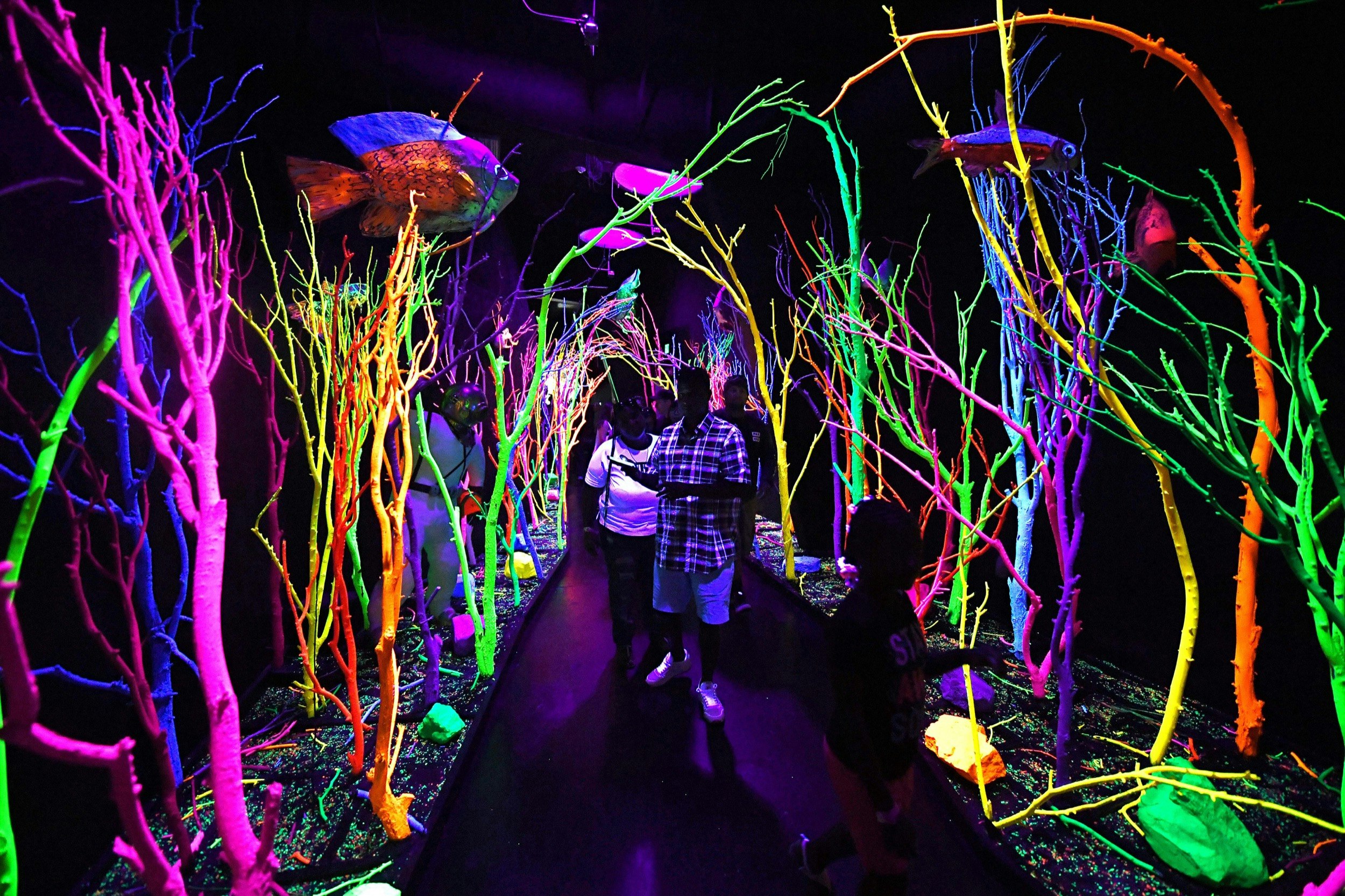 The Meow Wolf tourist attraction which has been described as an "immersive, multimedia experiences" at its location in an old bowling alley in Santa Fe, New Mexico 