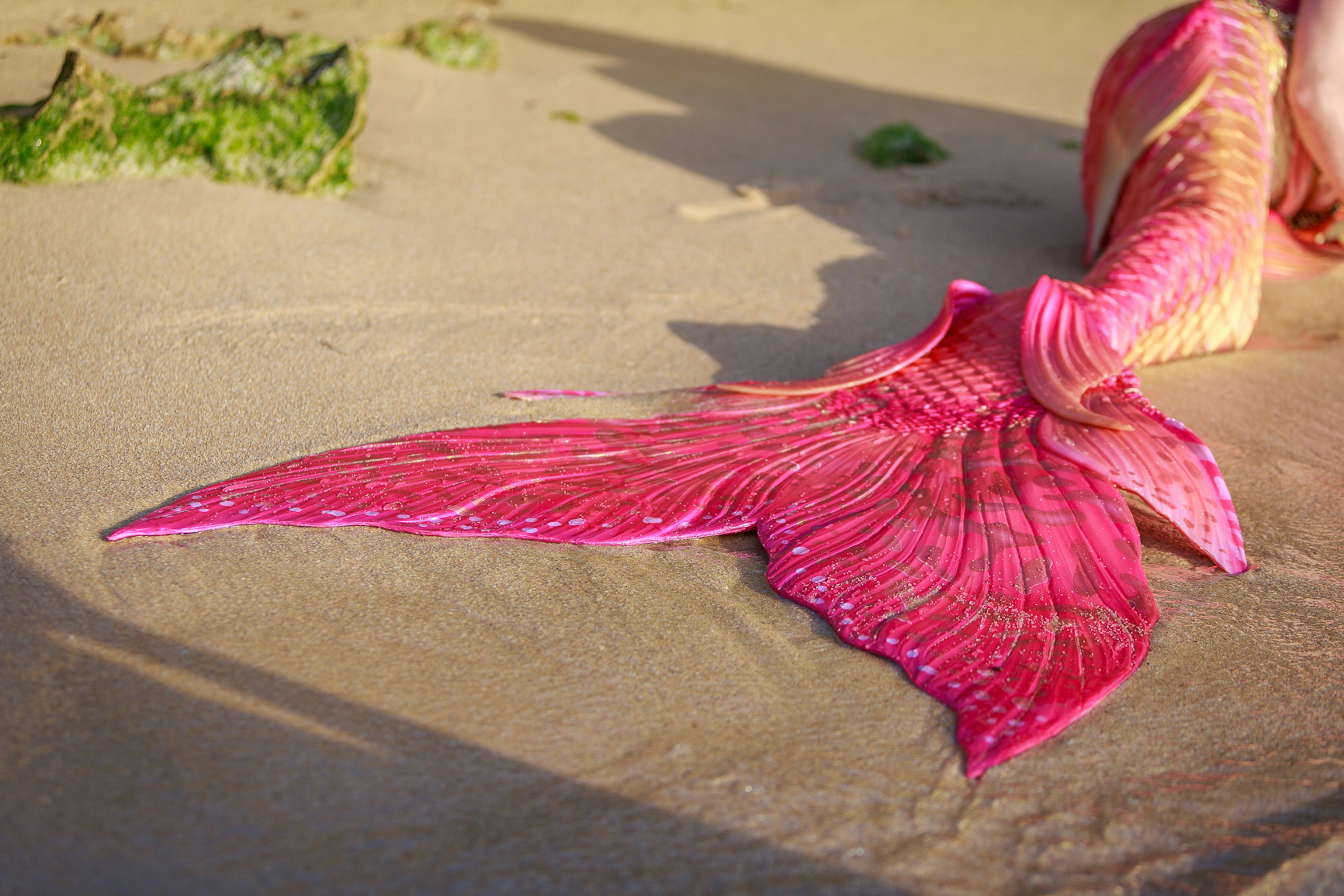 Closeup of a pink fake mermaid tail on a beach 
