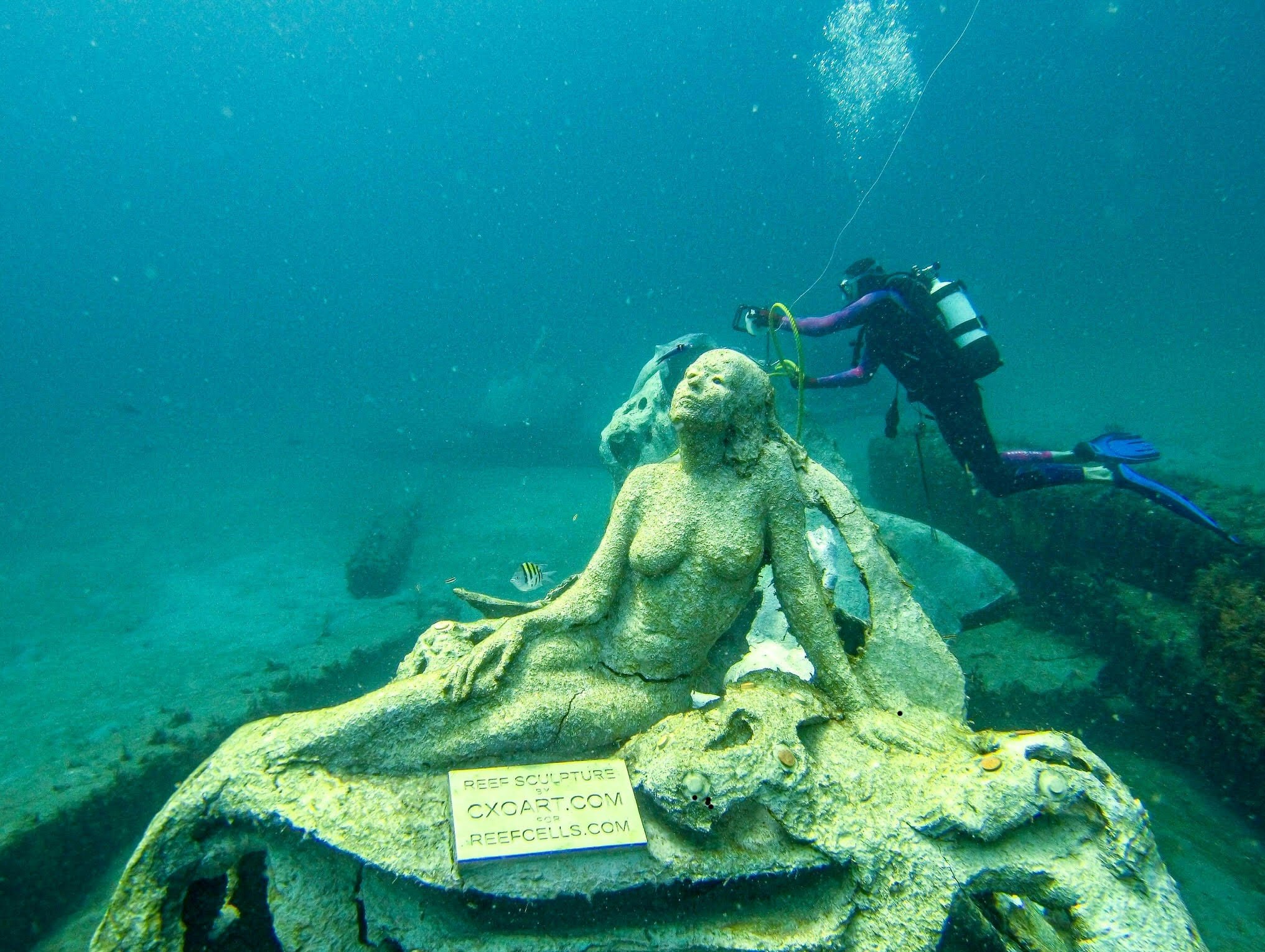 Underwater shot of a mermaid sculpture at the bottom of the ocean. In the background a scuba diver appears to measuring something. 
