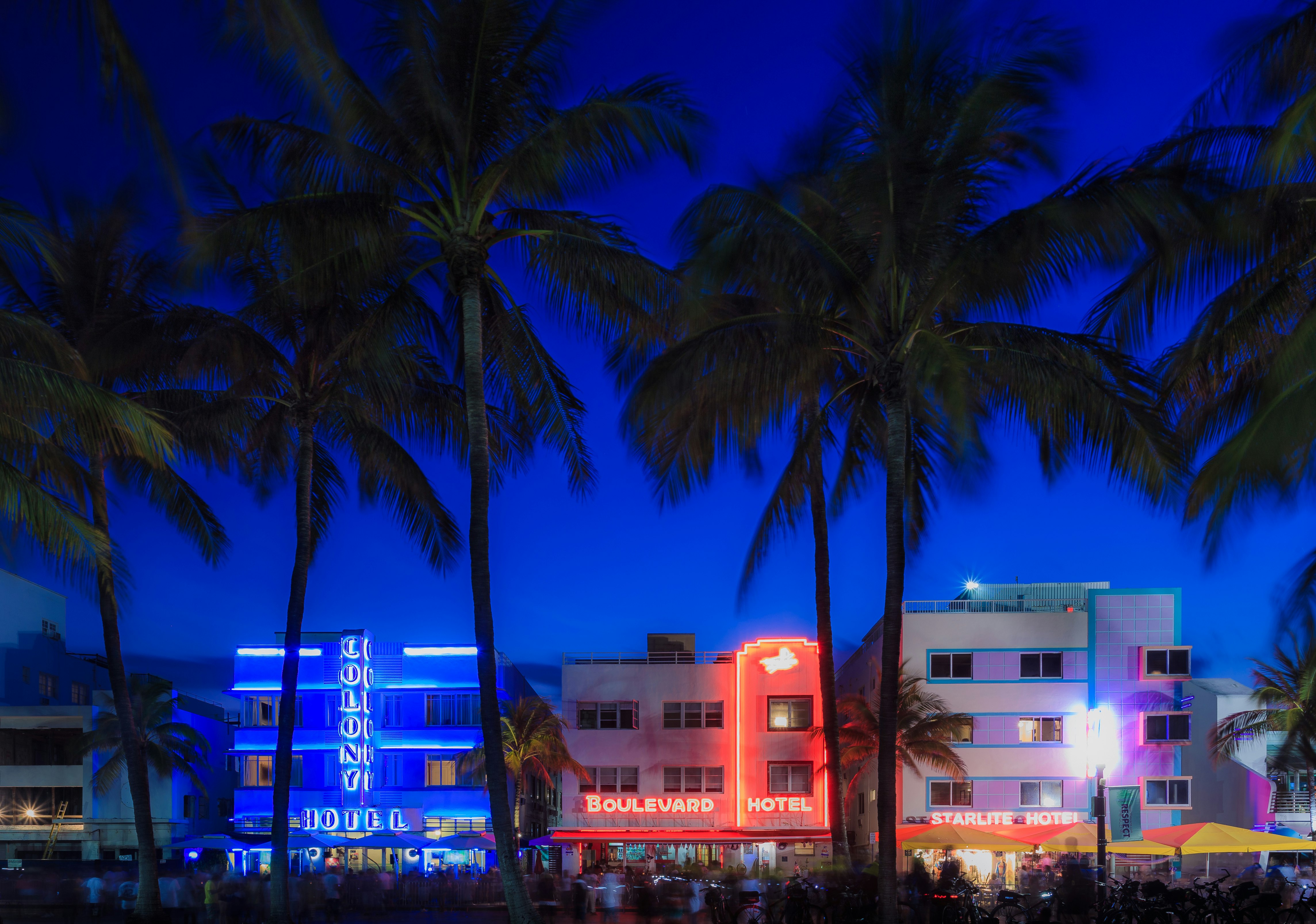 Palm trees are silhouetted against neon lights from several hotels on a popular street in Miami Beach at night