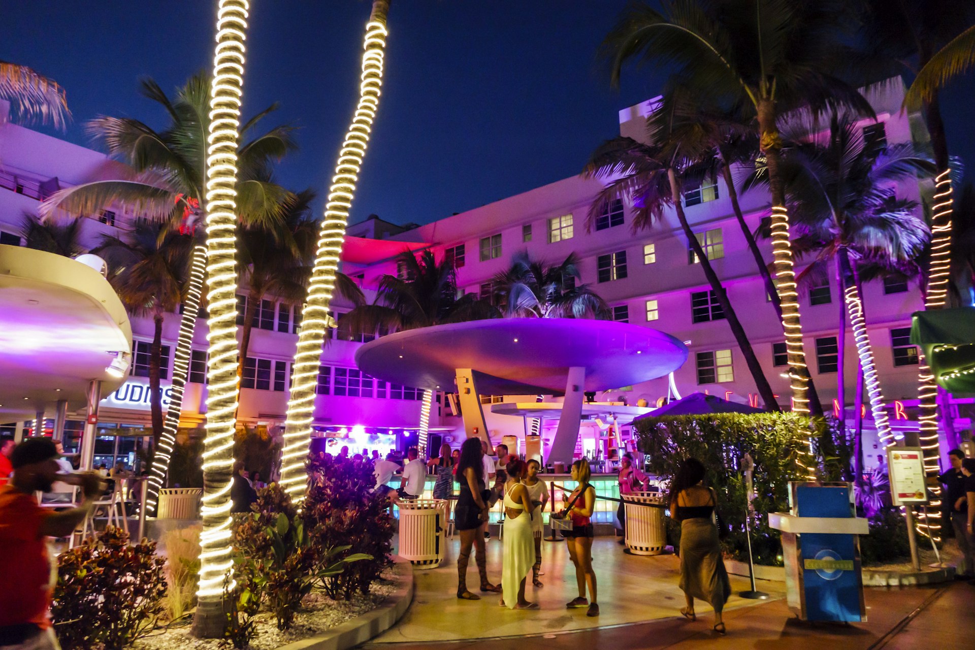 Young women chat in front of a Miami outdoor nightclub dominated by a palm tree wrapped in lights