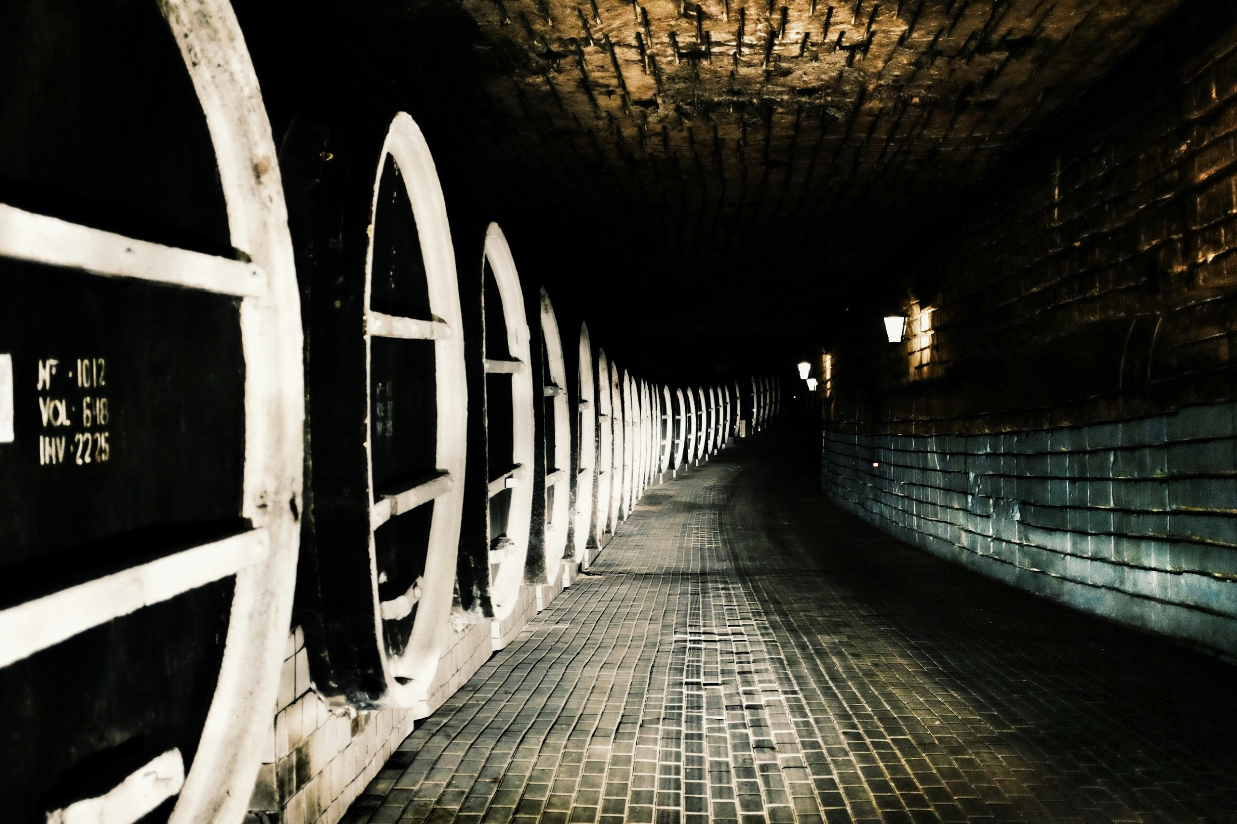 A dark wine cellar. Huge black barrels stand to the left, and a cobbled floor stretches into the darkness