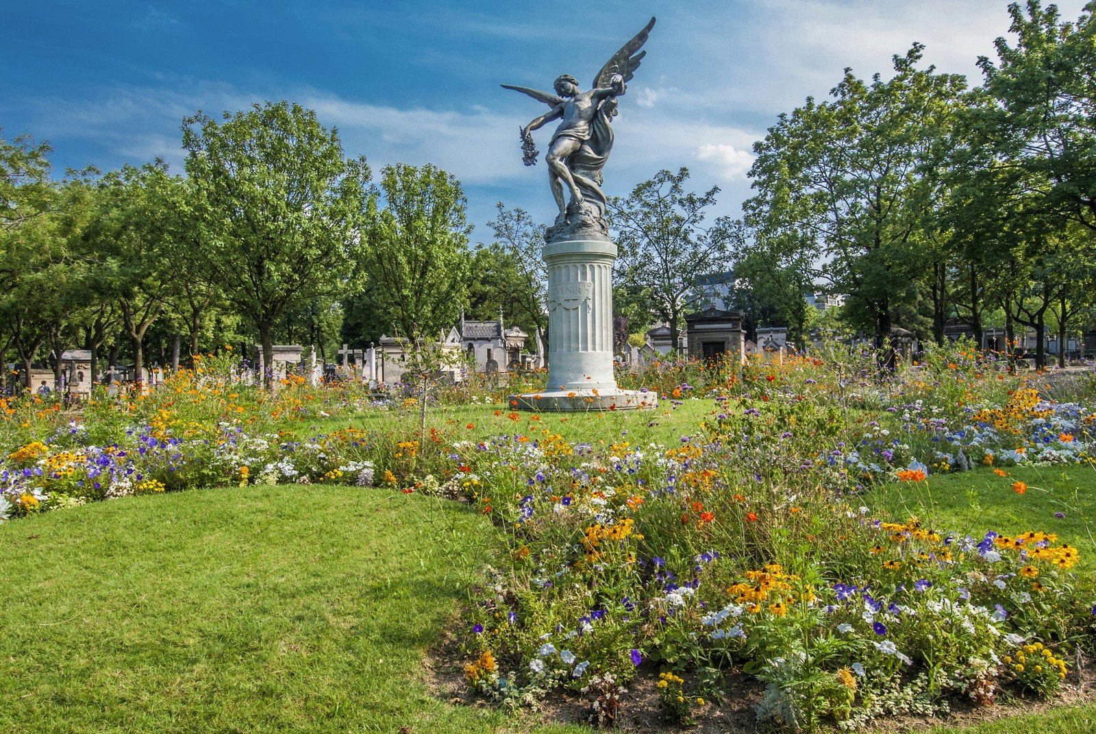 An angel statue stands above grave stones and a field of wildflowers