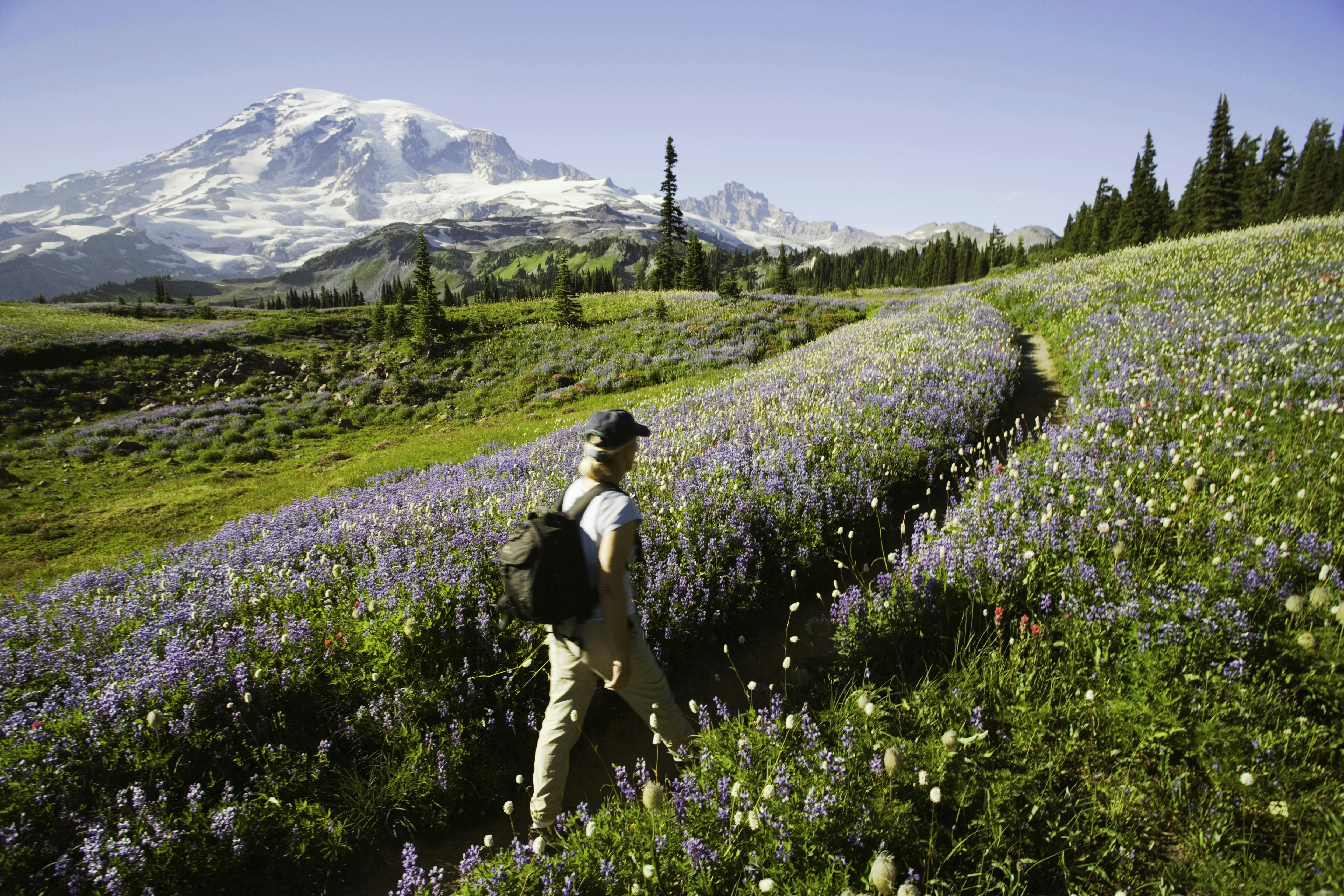 Mount Rainier hiker.jpg