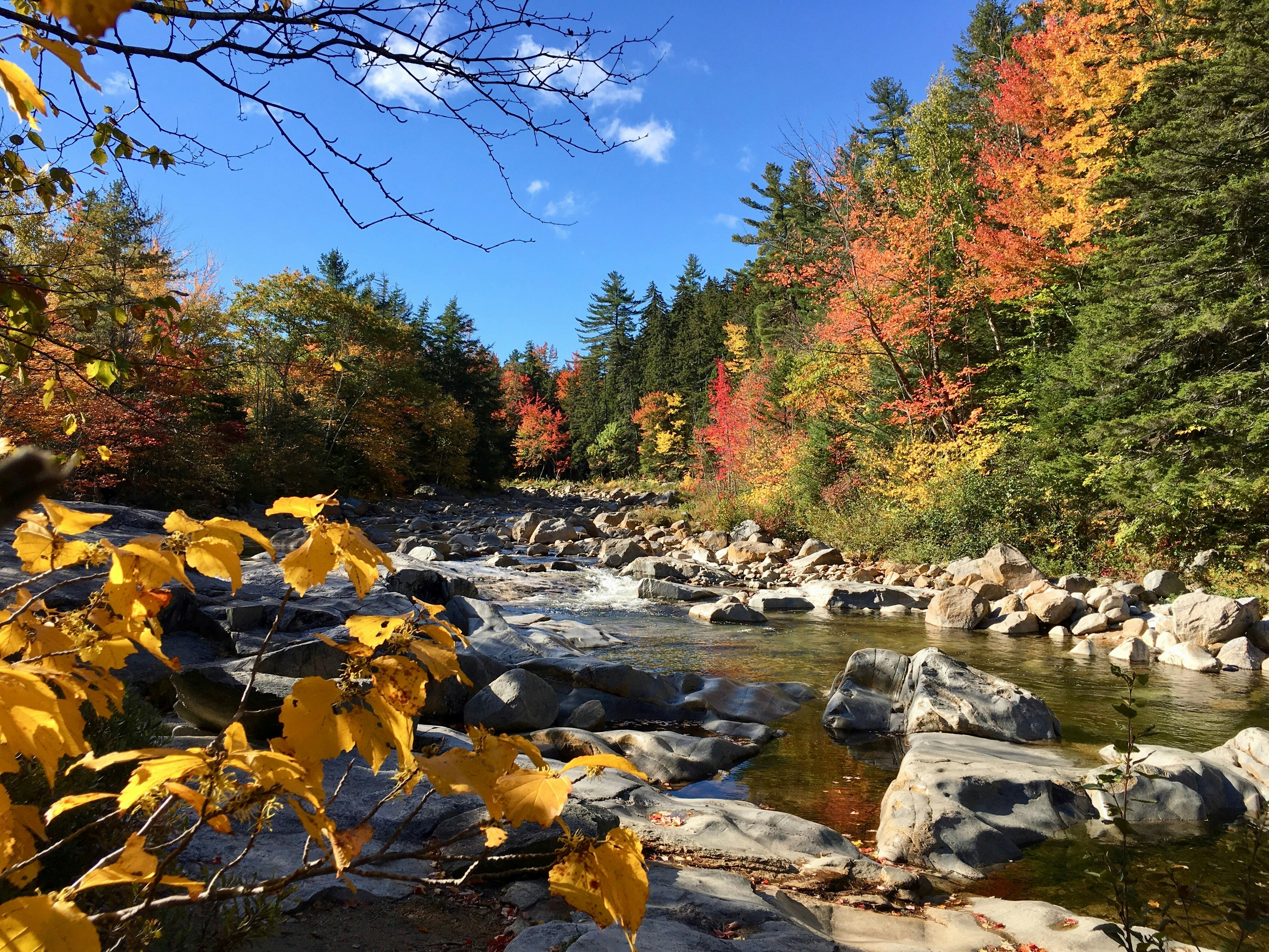 A stream tumbles over gray boulders as fall leaves stick out all around; New England fall foliage road trip
