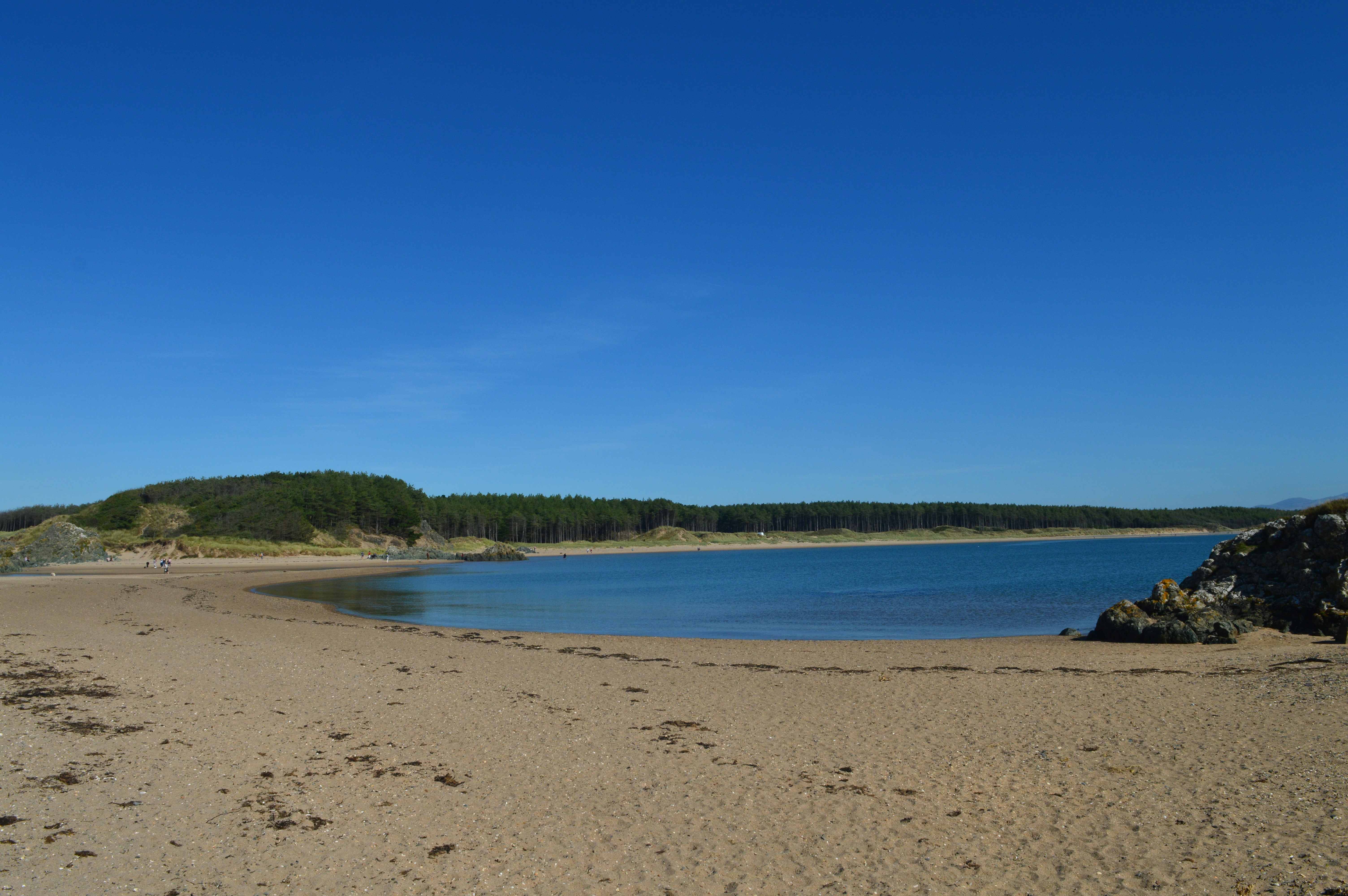 A view of Newborough Beach with a forest in the background.