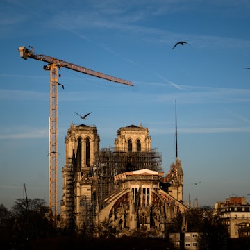 Notre-Dame Cathedral in Paris on January 6, 2020, covered in scaffolding with a crane in front and birds overhead