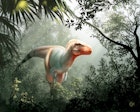 A rendering of the novel Tyrannosaur called Thanatotheristes degrootorum discovered in Alberta
