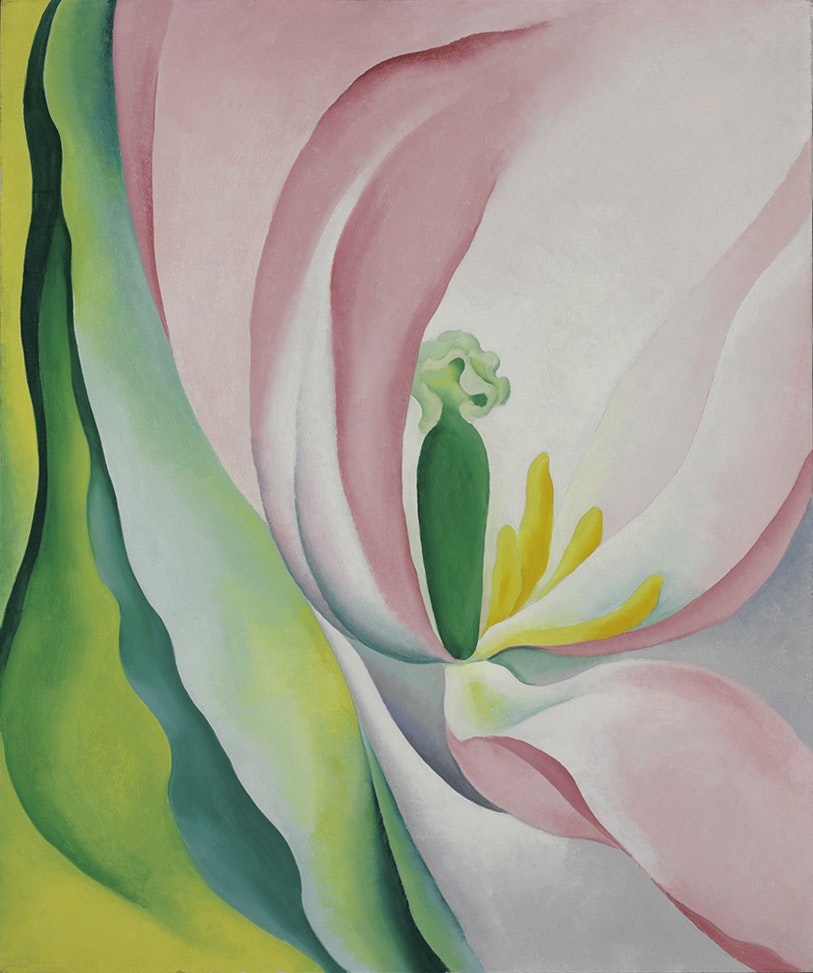 Pink Tulip 1926 painting by Georgia O’Keeffe