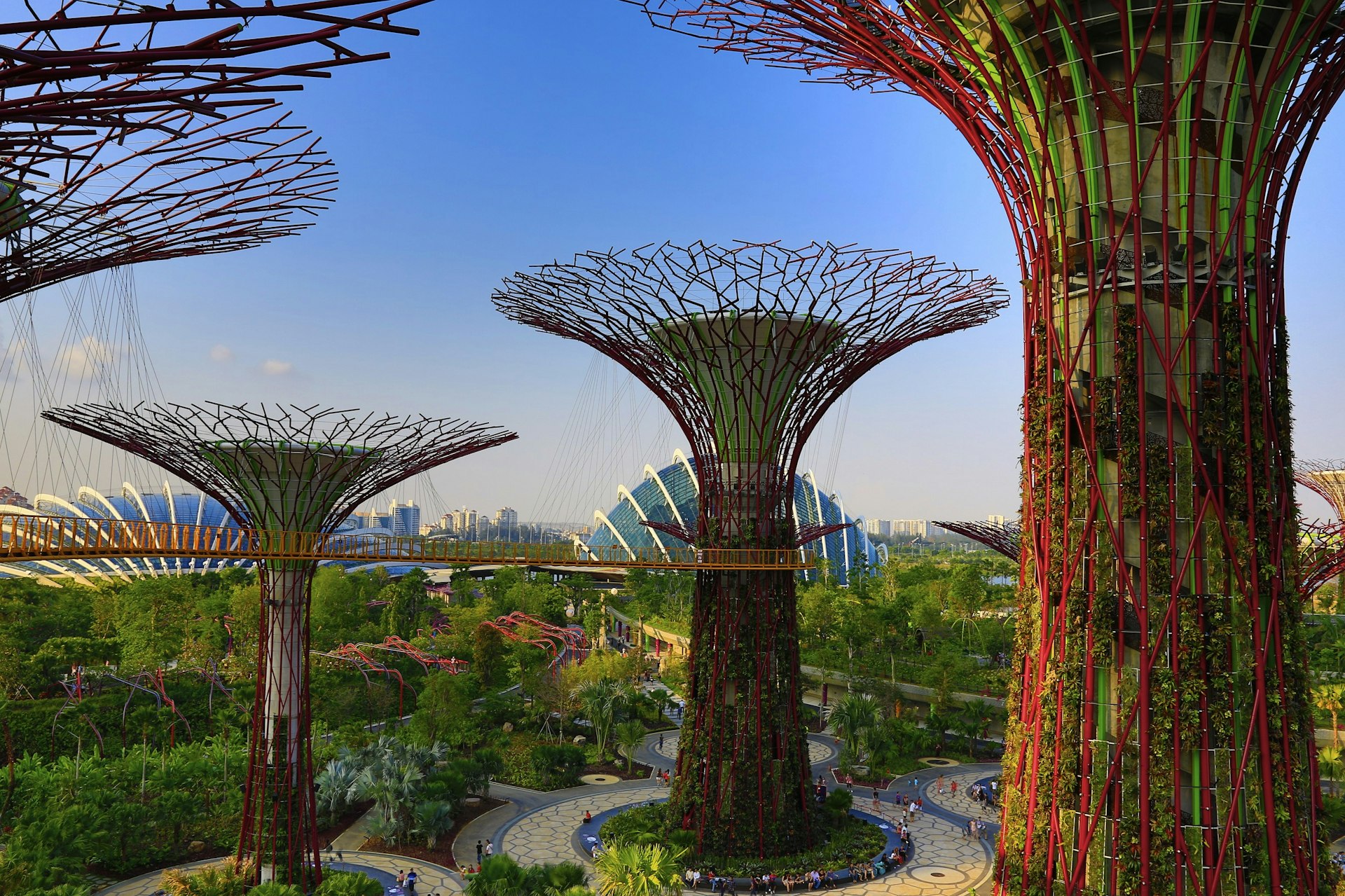 Several massive structures that blossom outward and upward (the Supertrees) are linked by an elevated walkway; within the Supertrees are vertical gardens. Below, on ground level, people walk along the circular paths that surround each tree.