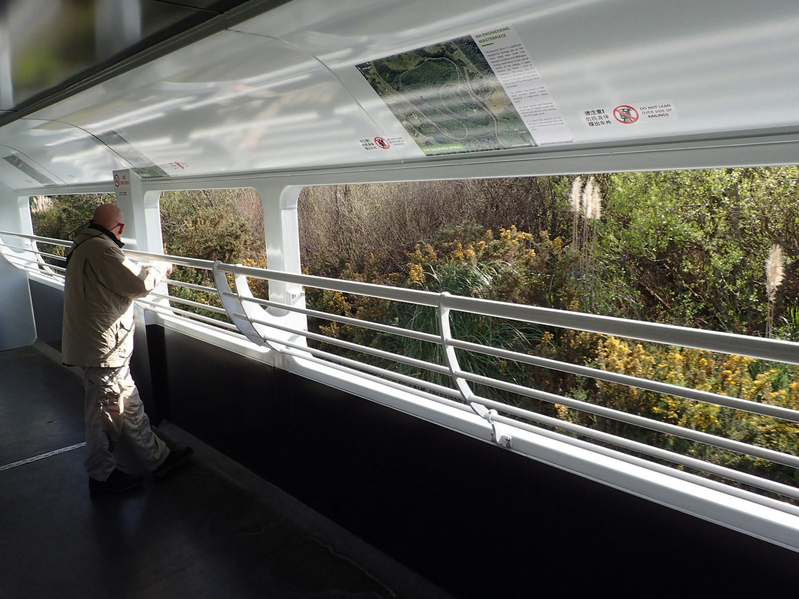 Observation car in Northern Explorer train, New Zealand looking out on lush greenery. One passenger is standing near the railings.