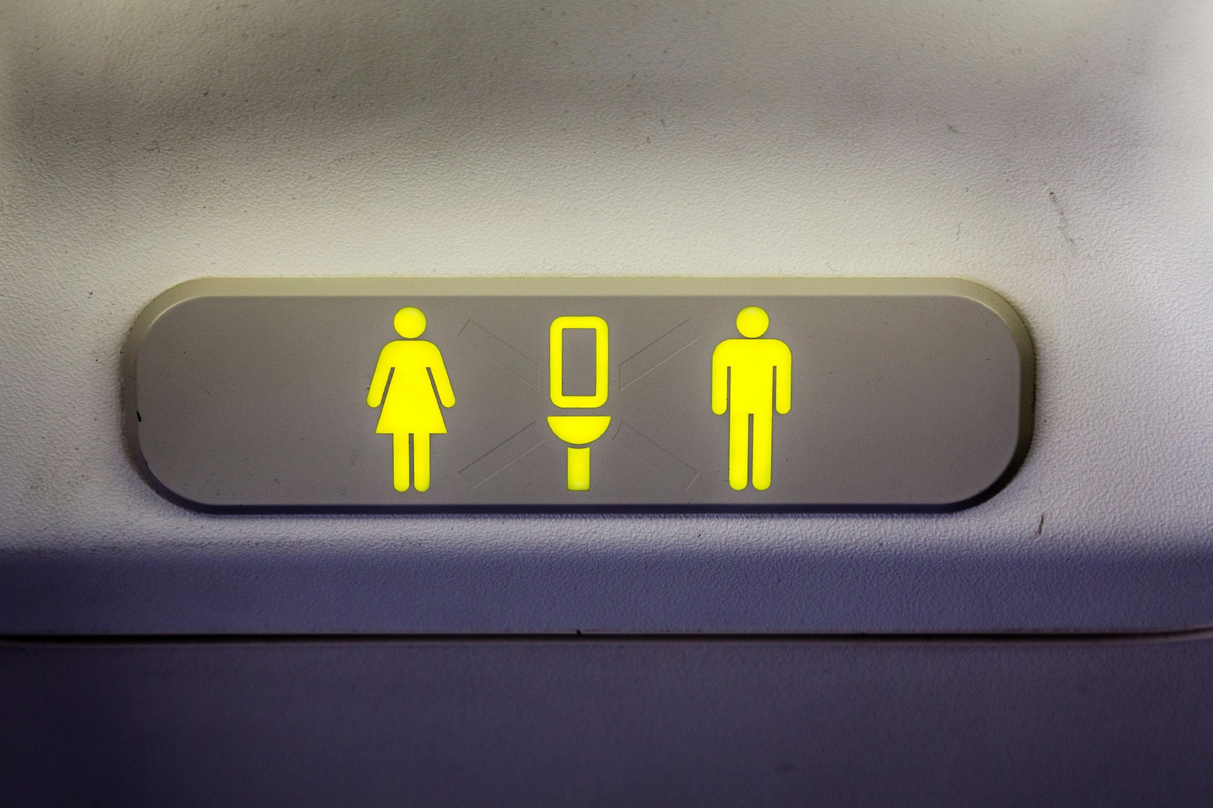 The lavatory sign on a Boeing 737 showing that the forward restroom is unoccupied..jpg