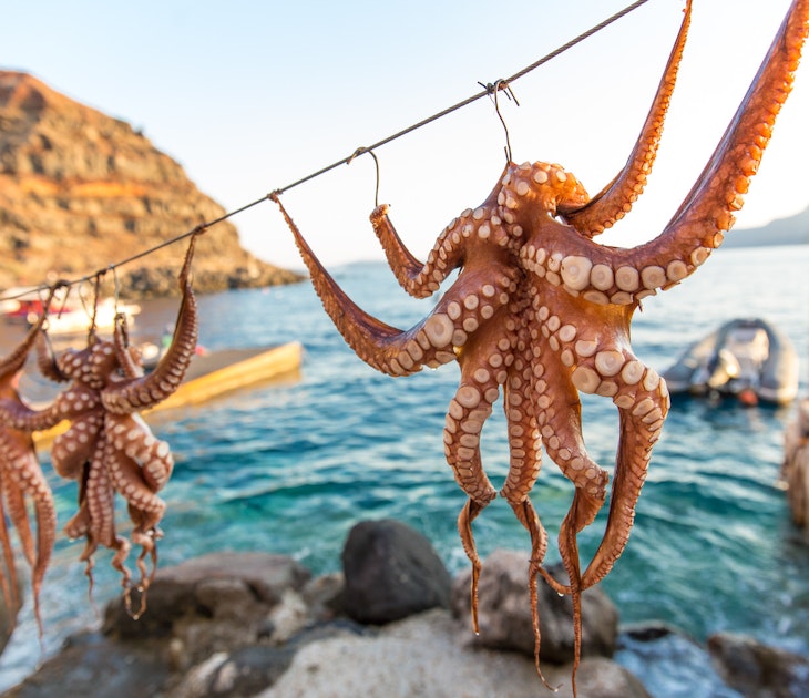 Octopus, a Greek staple.jpg