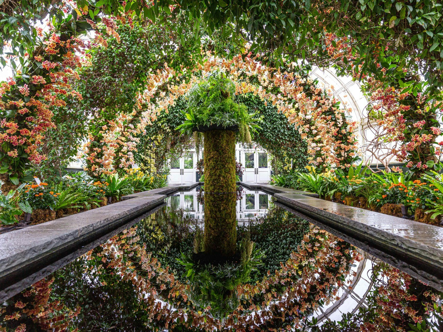 Arches of orchids above water at New York Botanical Garden