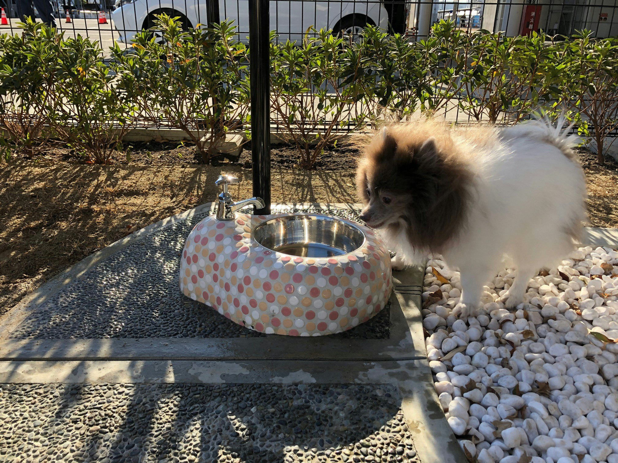 Osaka International Airport now has a dog relief area © Kansai Airports