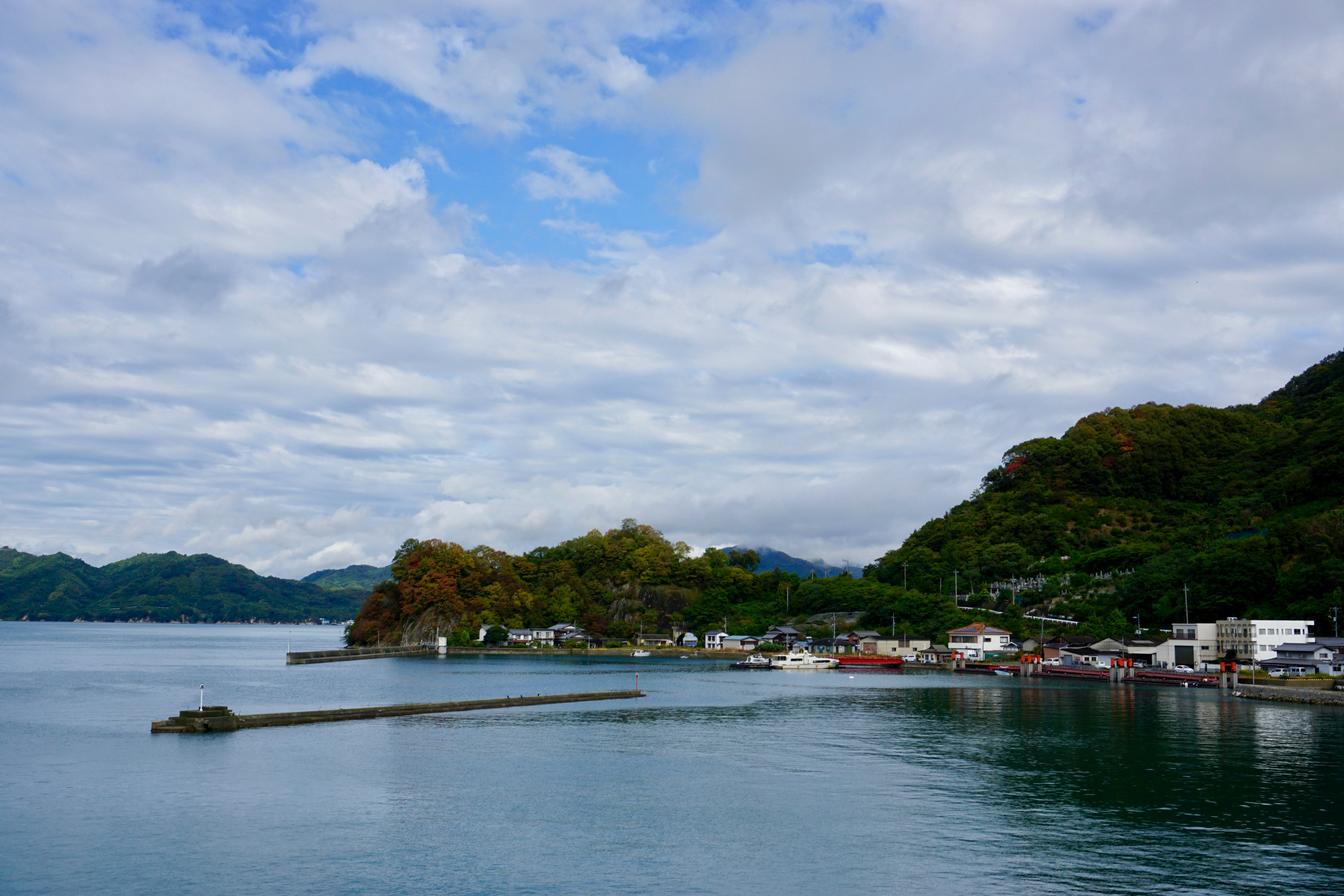 The island of Osakishimojima is covered thickly in green trees, some of which are just starting to turn over to autumnal colors. The vegetation reaches all the way down to the blue waters of the Seto Inland Sea except where there are small white buildings and boats, and red pylons along the coast.