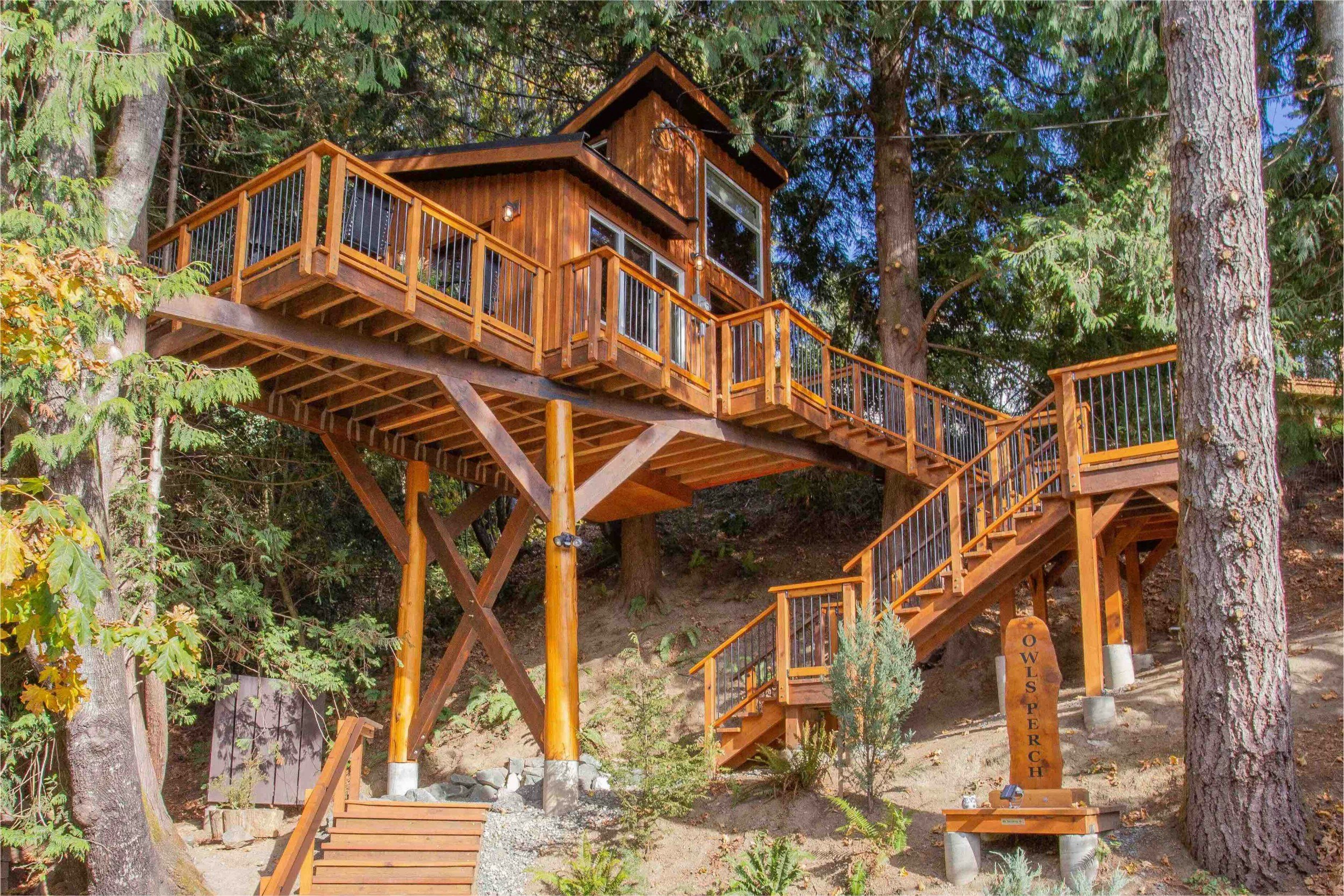 A treehouse in a forest with 50 steps up to it