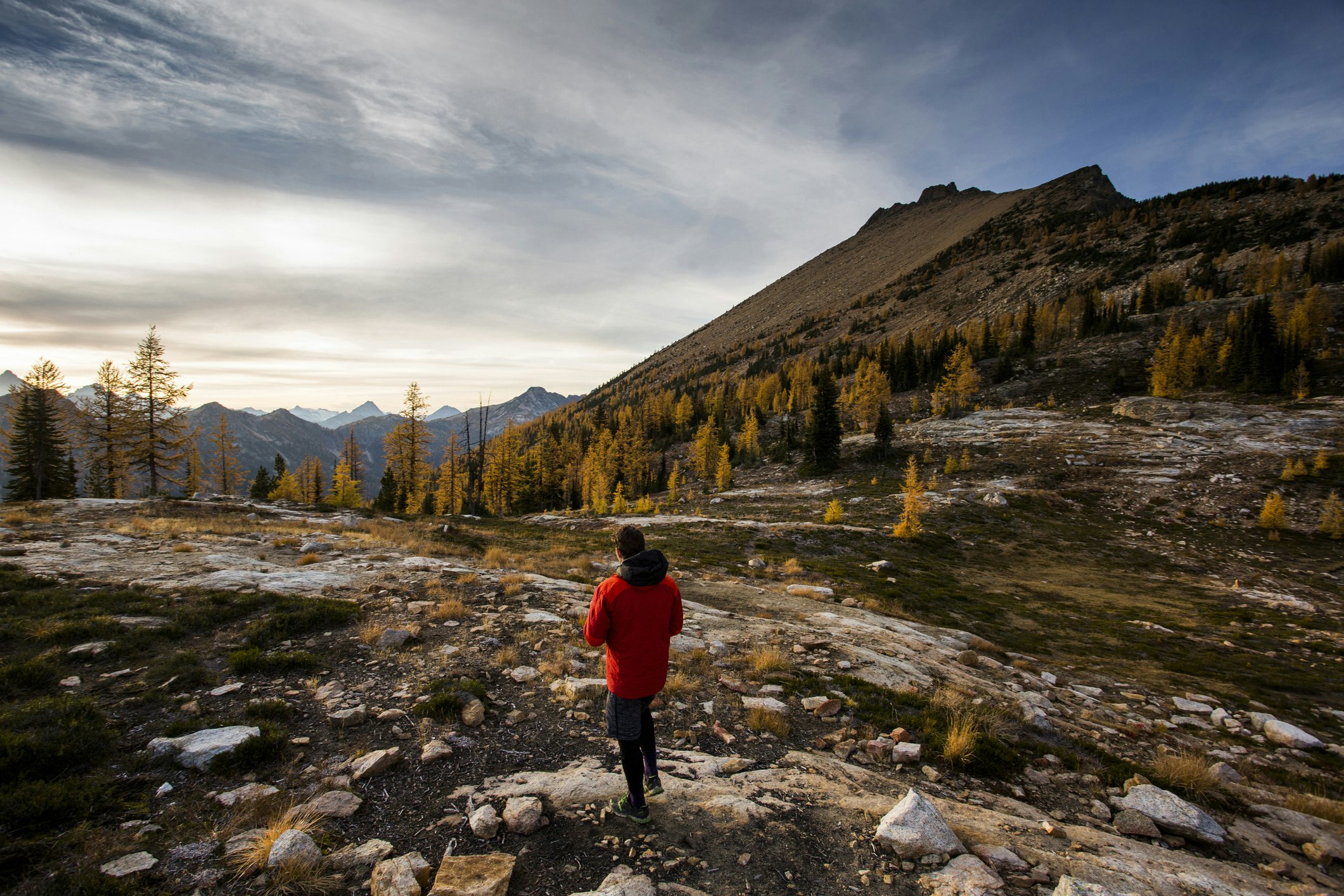 A young man walks in an alpine region alongside the colorful larch trees and steep mountains of the Cascades in the Pasayten Wildernes