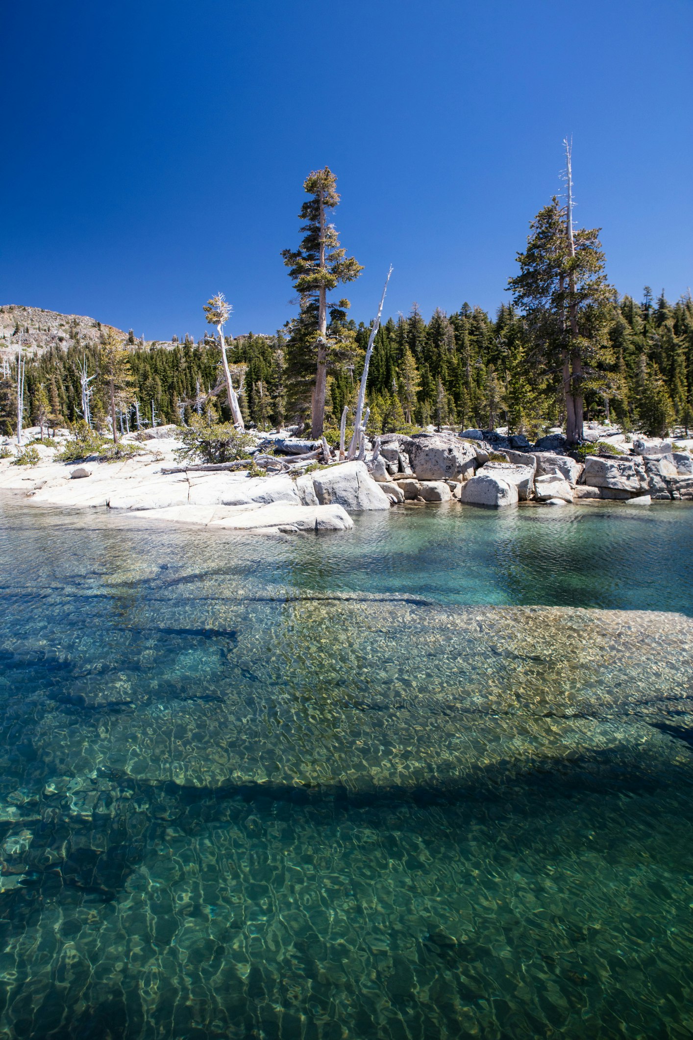 Lake Aloha, a scenic backcountry glacial basin in the Sierra Nevada mountains of California