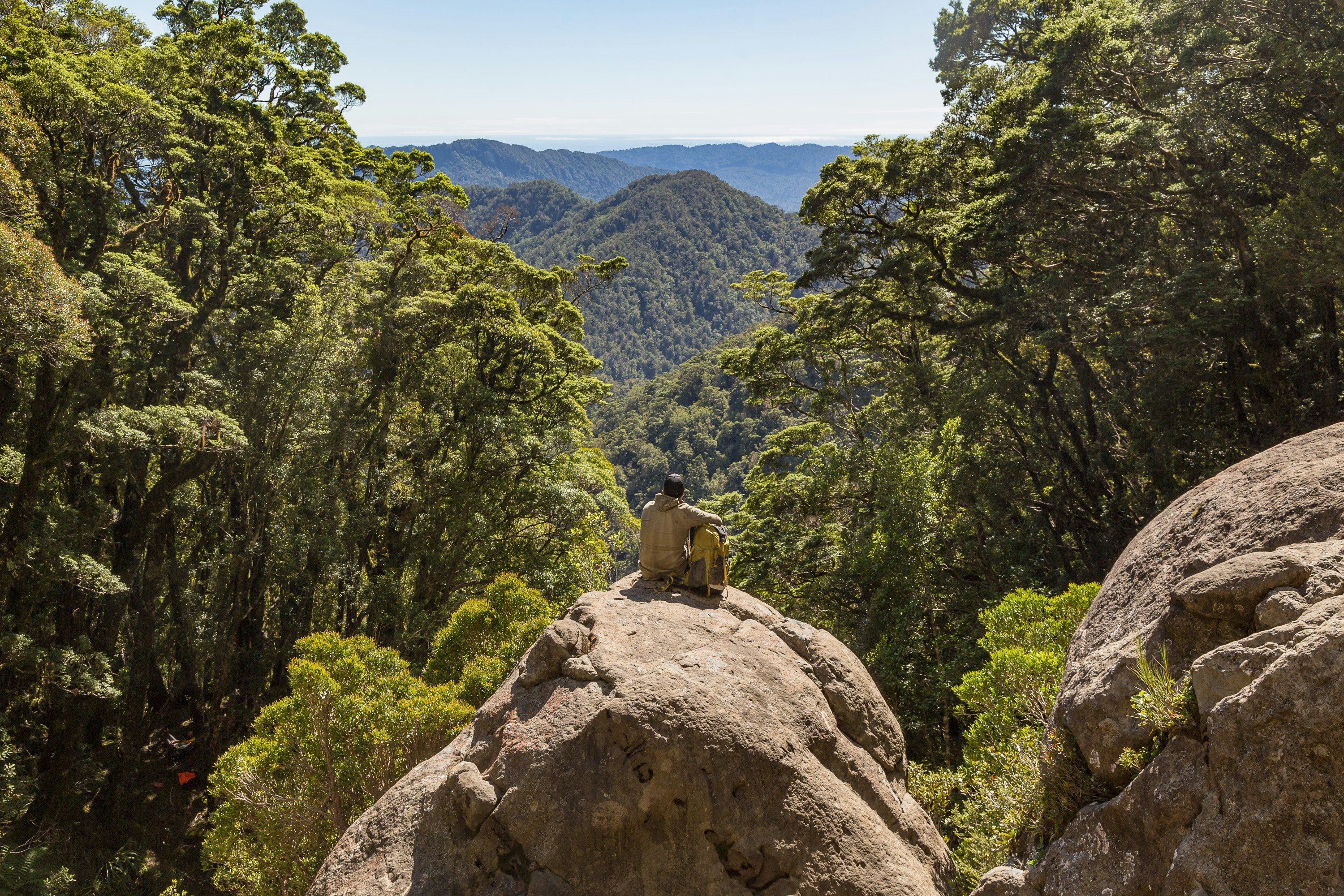 A man sitting on a rock  on the Paparoa Track in New Zealand