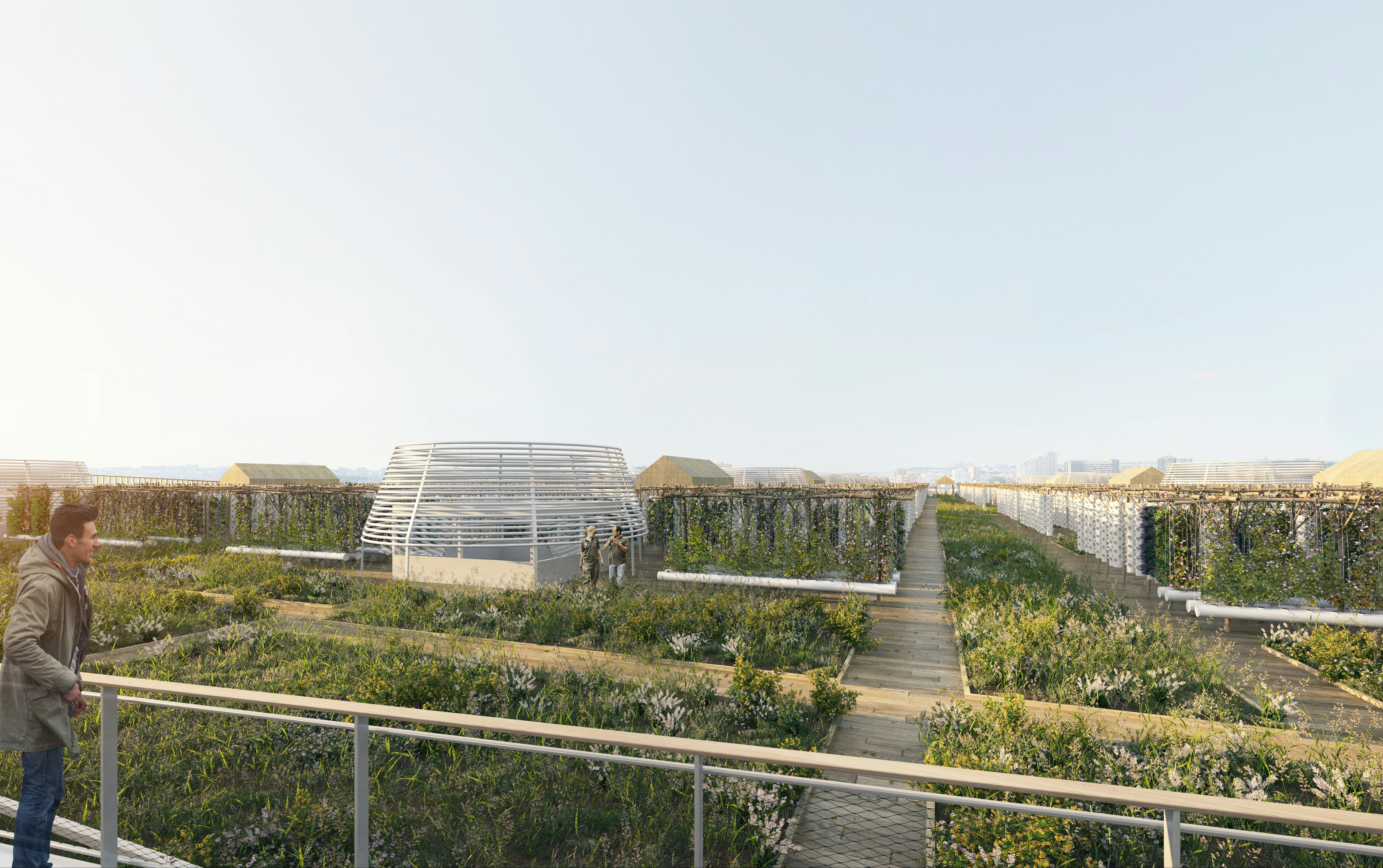Rendering of rows of vegetable plots in a Paris urban rooftop farm