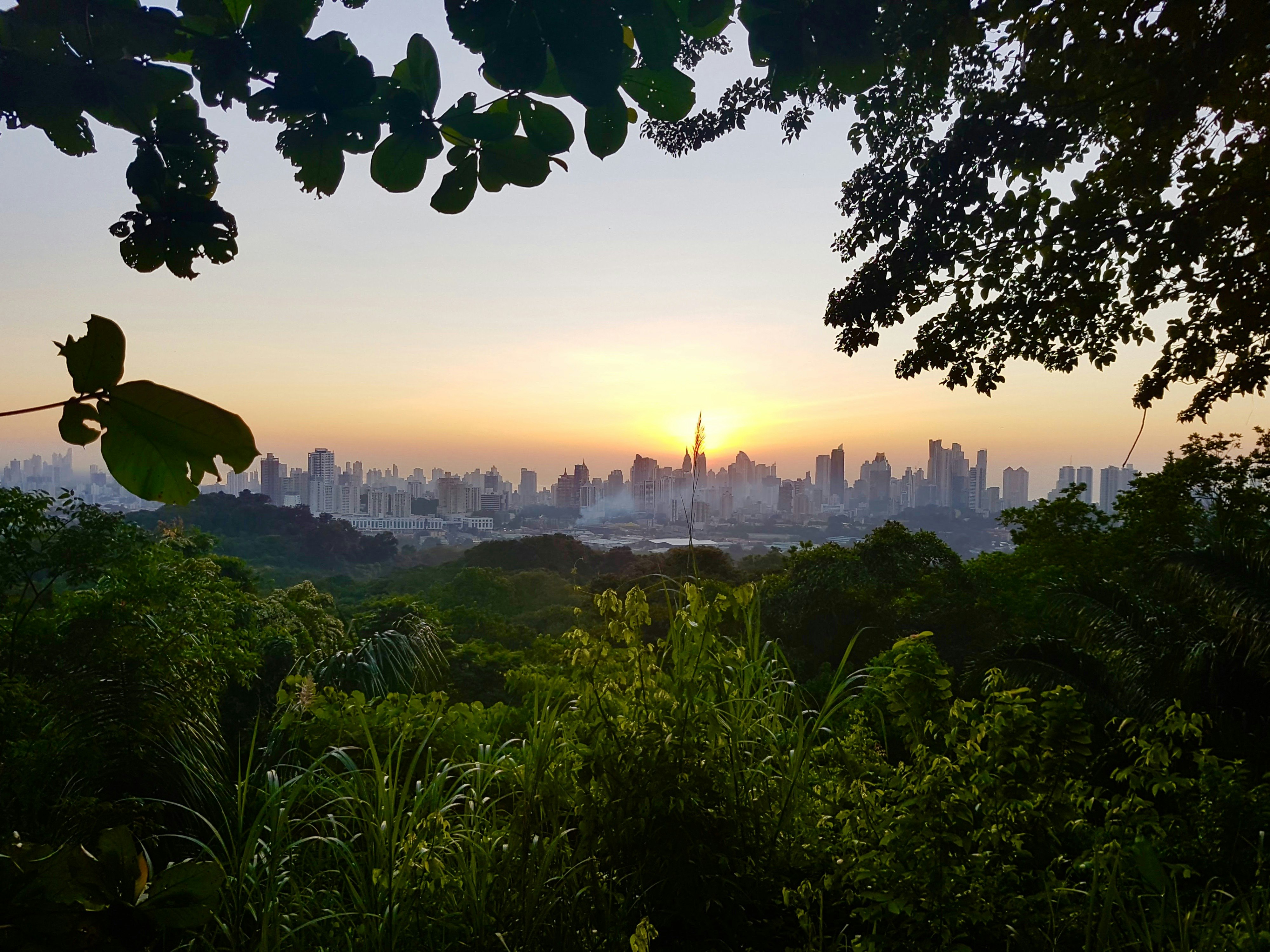 Birds eye view of the Panama City skyline from Parque Natural Metropolitano; perfect weekend Panama City 
