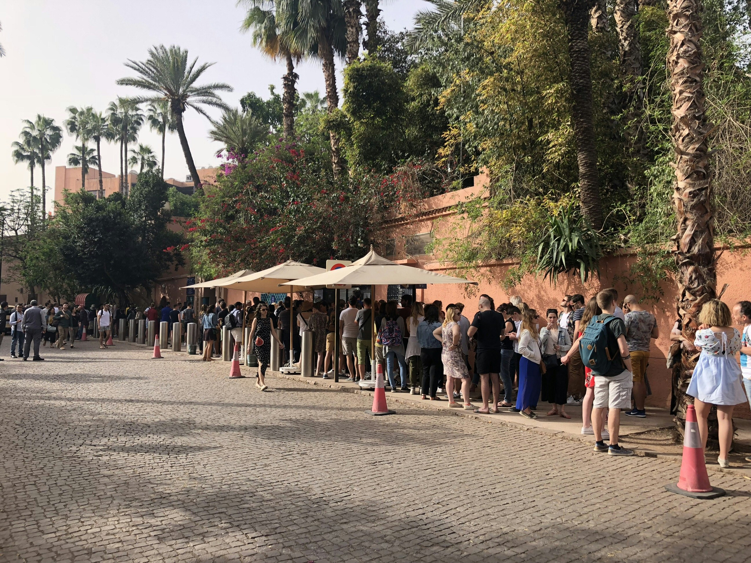 A very long queue with hundreds of people stand along the pavement next to a terracotta-coloured wall; the street in the foreground is cobbles. Palms and flowering bushes tower over the wall.