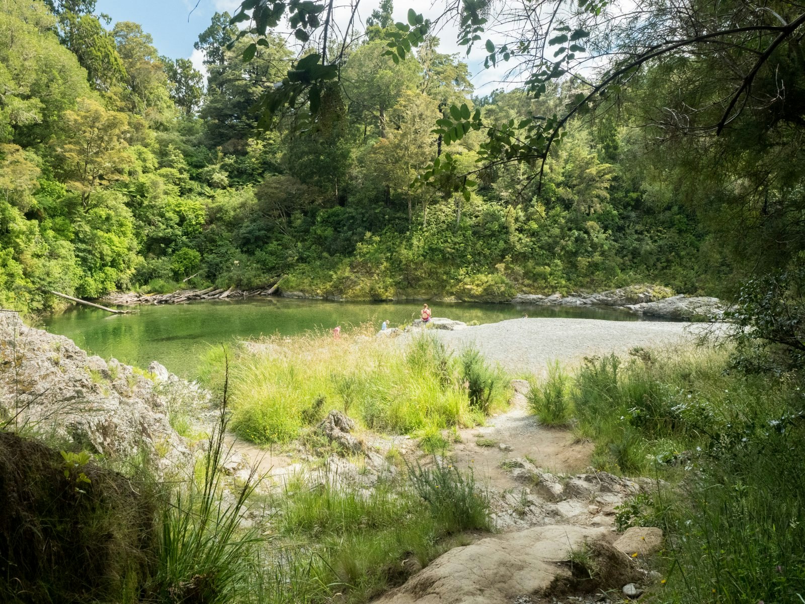 The watering hole at Pelorus Bridge, New Zealand. Someone is in the water in the far distance, they are surrounded by lush greenery. 