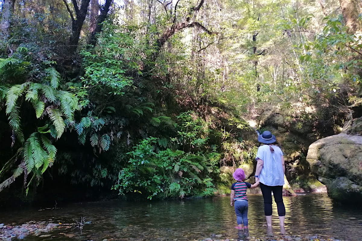 Why I took my toddler hiking in New Zealand
