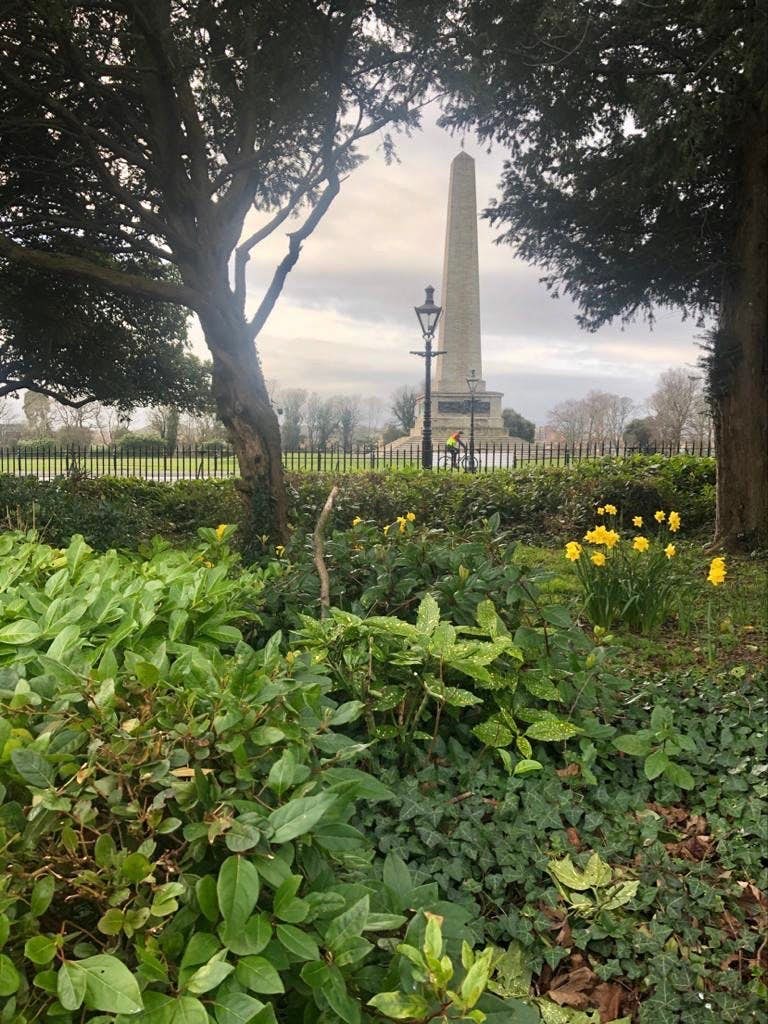 The Phoenix Pak in Dublin