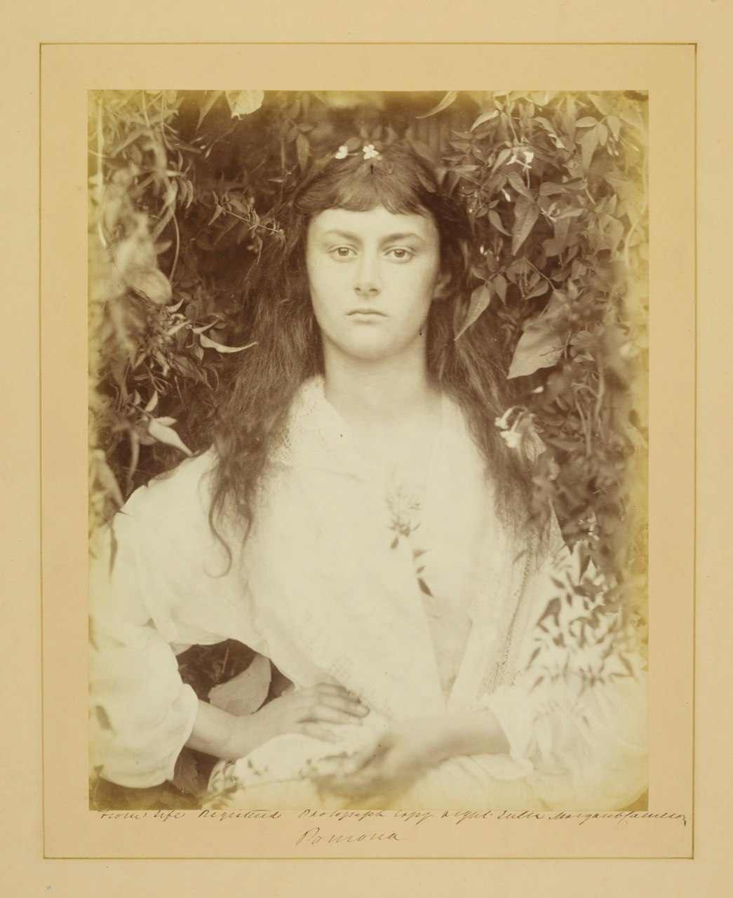 Photograph of the 'real' Alice Liddell, by Julia Margaret Cameron, 'Pomona', albumen print, 1872 (c) Victoria and Albert Museum, London.jpg