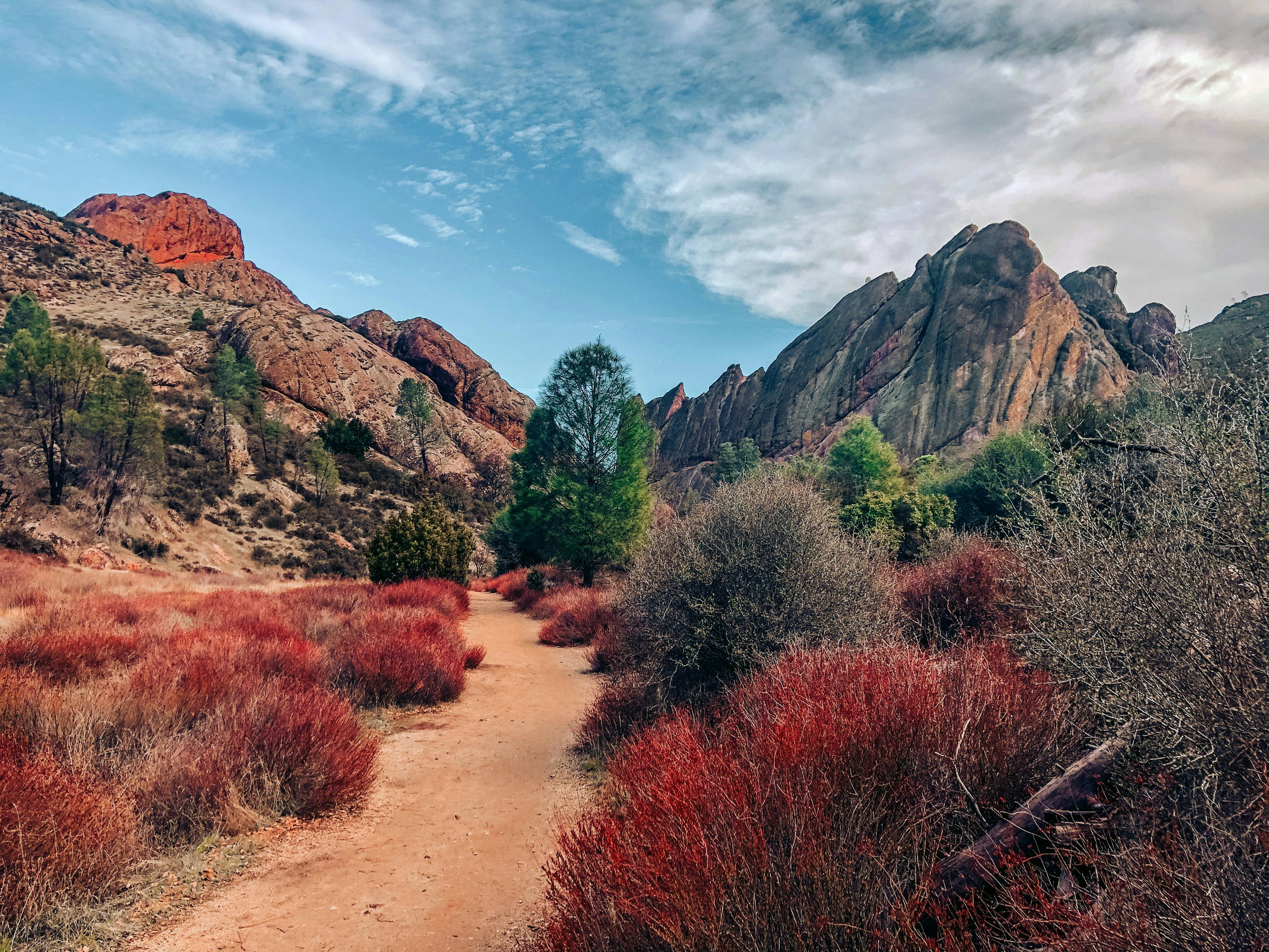 A trail winds between red bushes as a sunset starts to light up the rocks at Pinnacles National Park