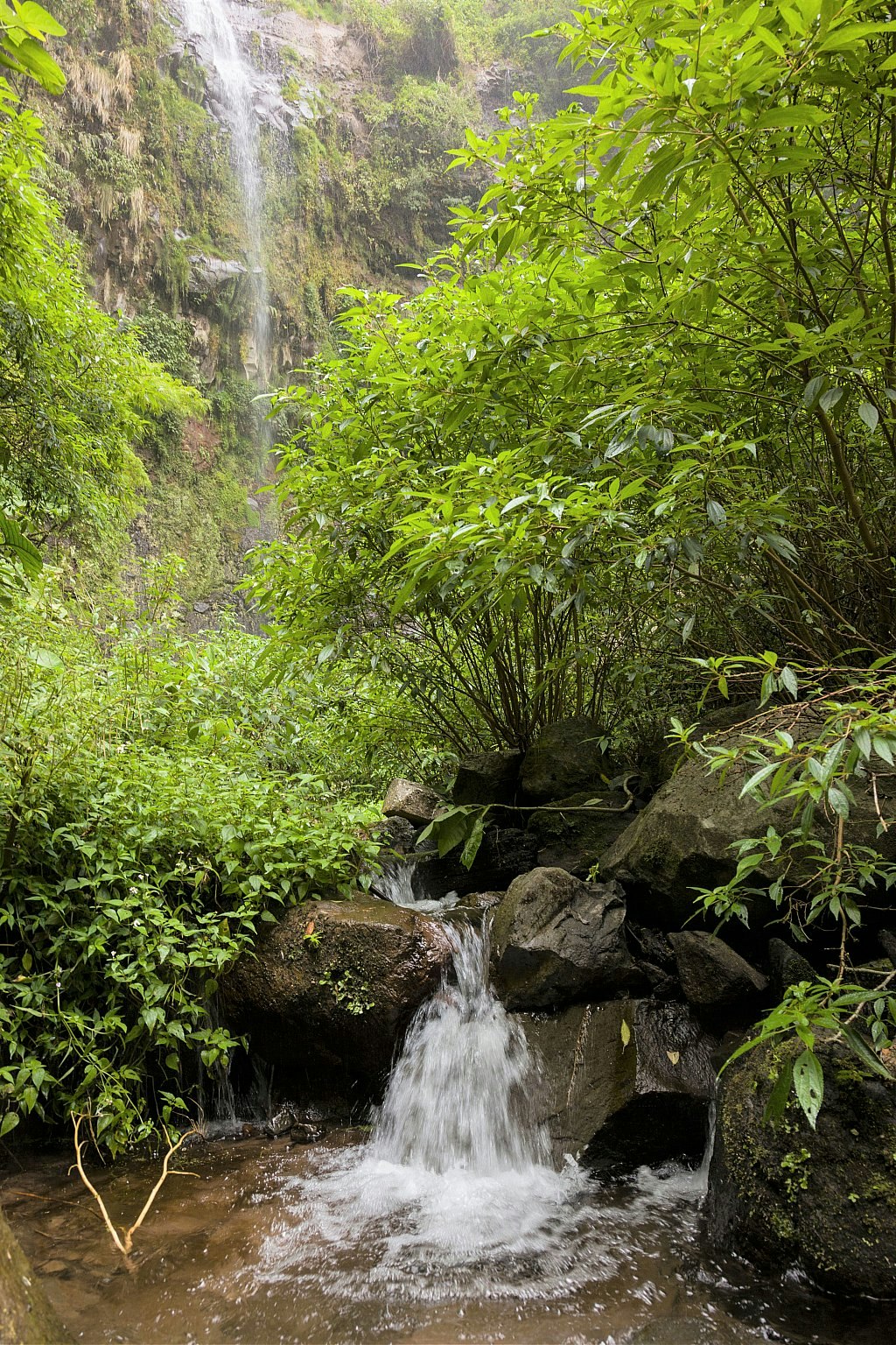 A waterfall tumbles down a cliff face amid verdant foliage along the Pipeline Trail near Boquete, Panama.