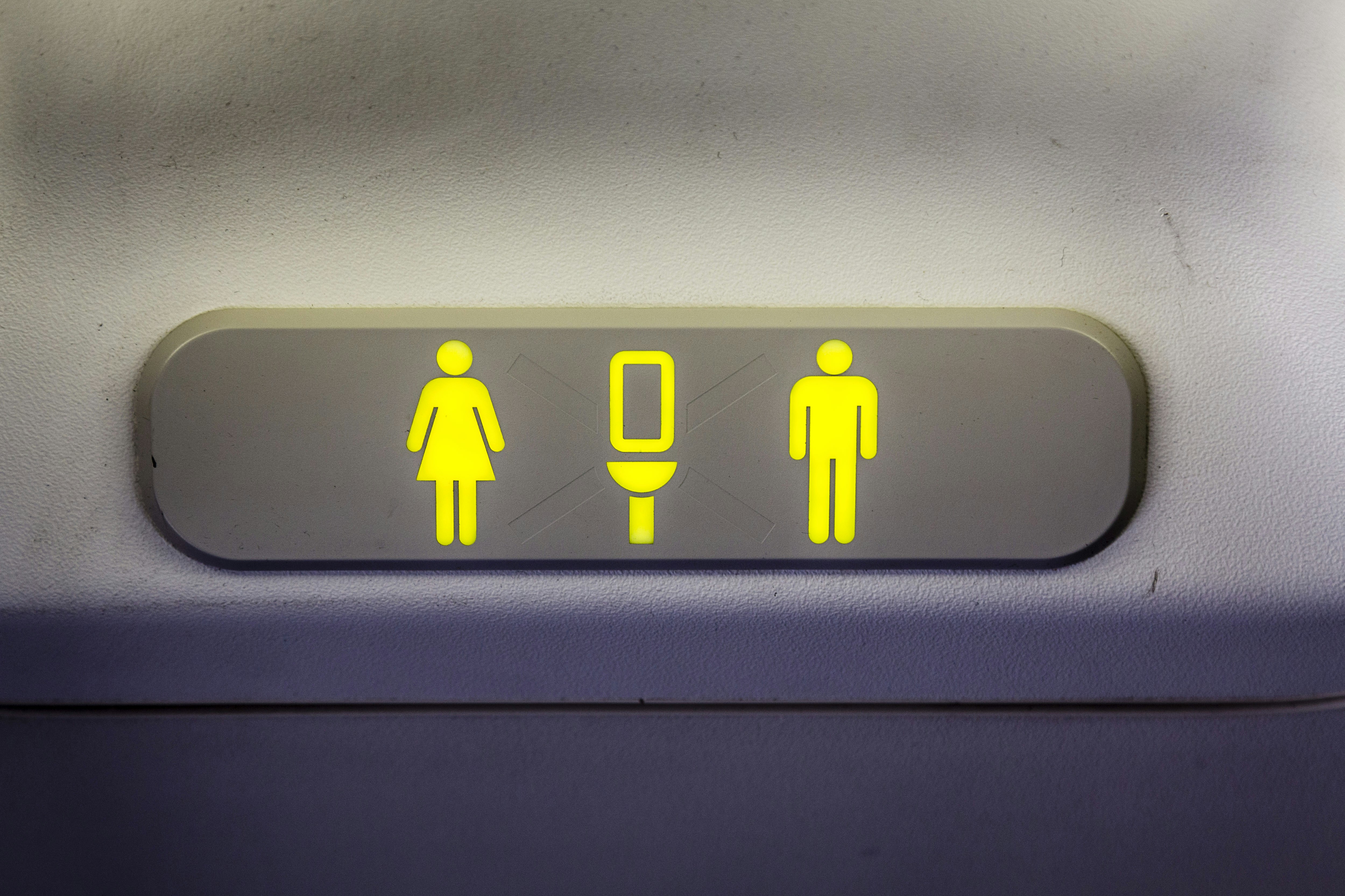 The lavatory sign on a Boeing 737 showing that the forward restroom is unoccupied.