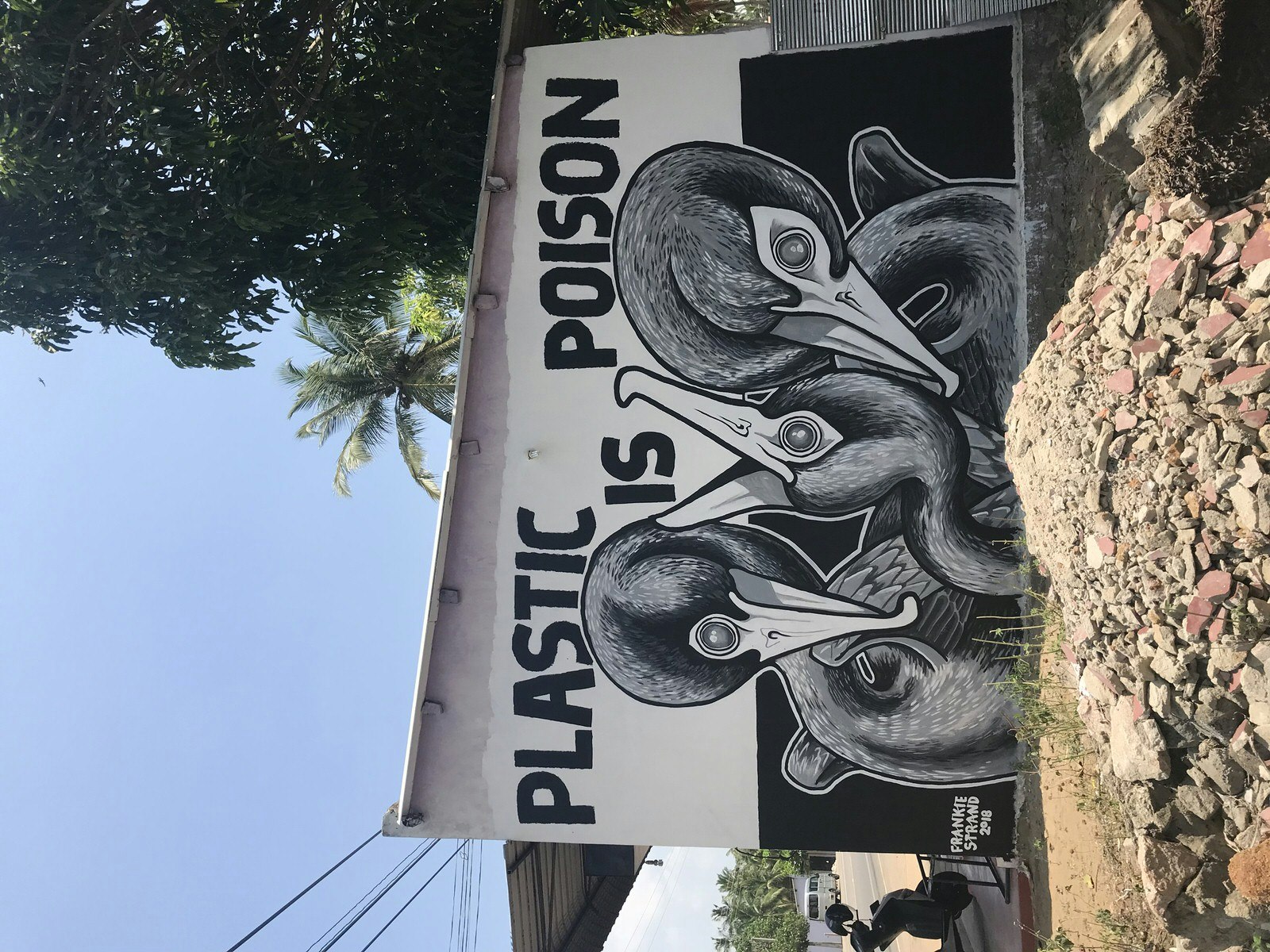 A black-and-white mural painted on the side of a small building near a beach. The mural shows three seabirds from the neck up, bending their heads in different directions with the words 'plastic is poison' above them.