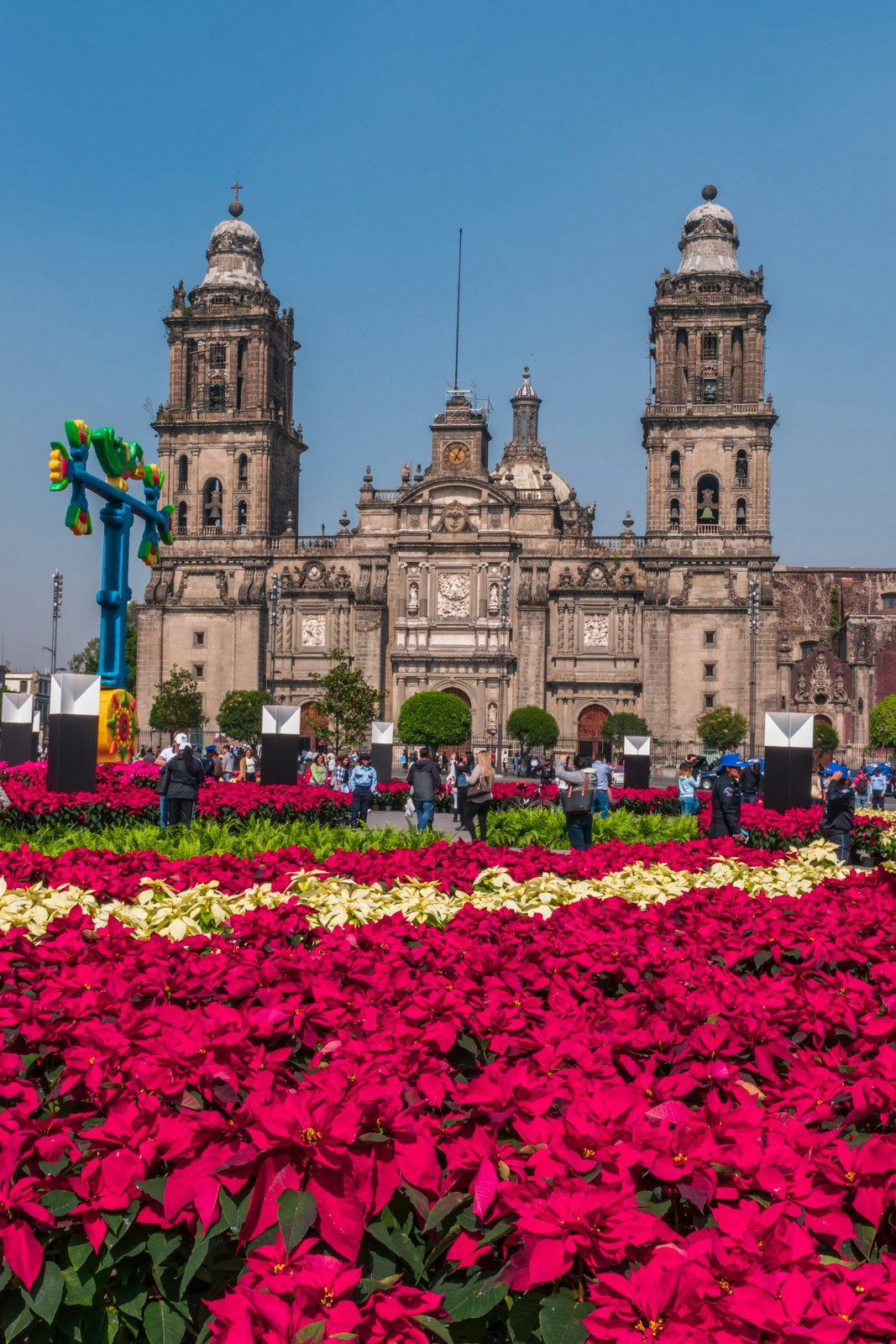 Famous Mexican cathedral surrounded by poinsettias on a clear day.