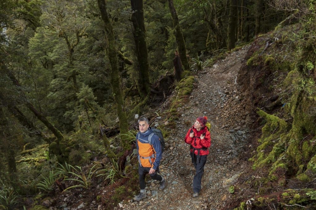 Two people walking on the Paparoa Track in New Zealand