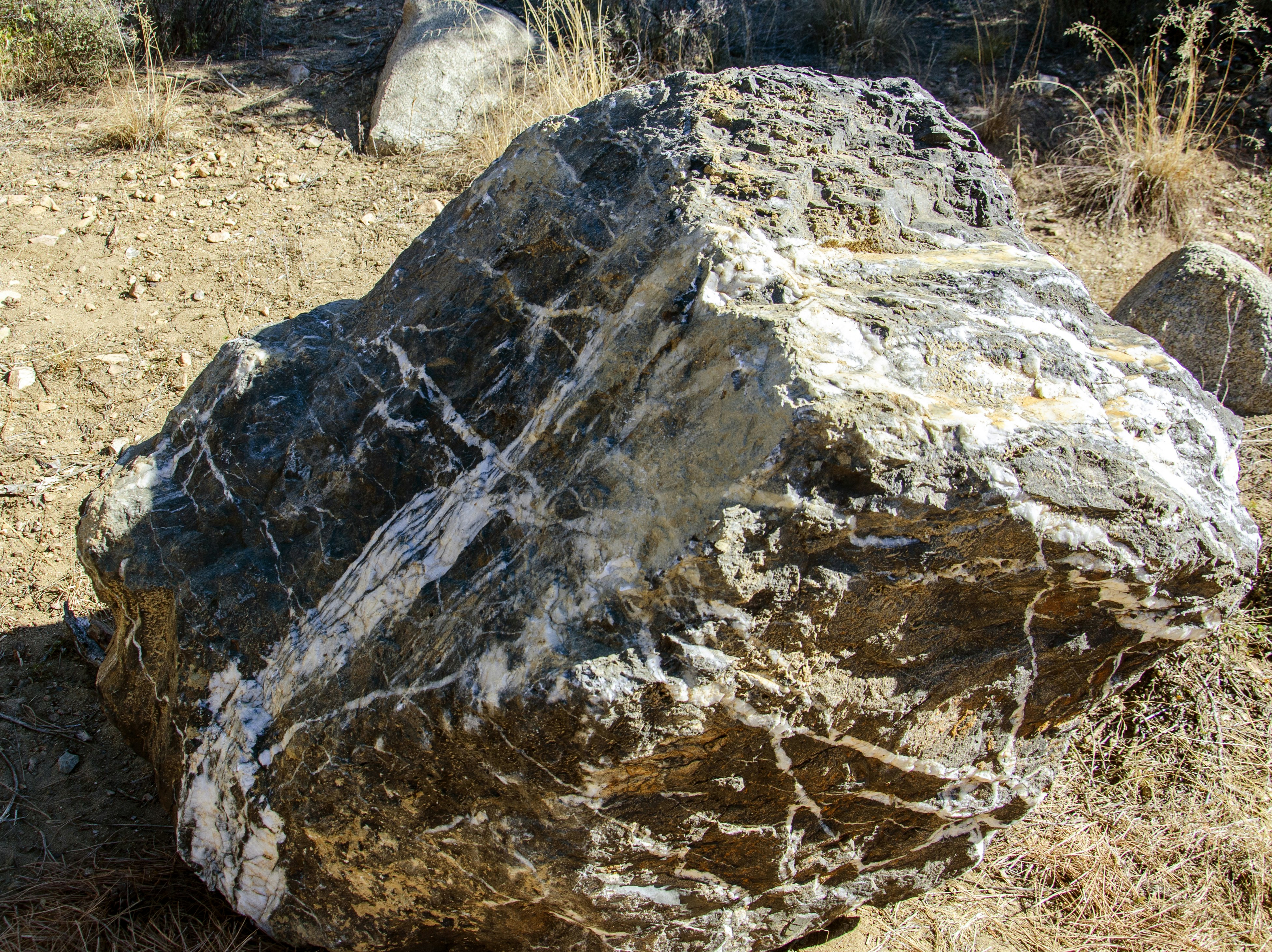 Prescott National Forest wizard rock.jpg