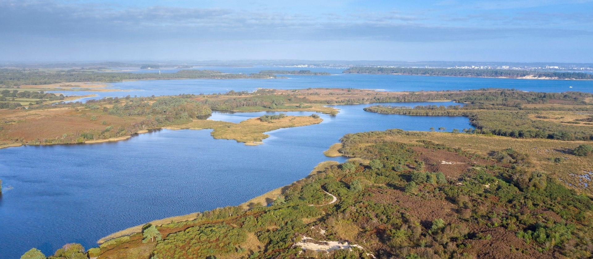 View of Studland dunes and freshwater lake, Purebeck