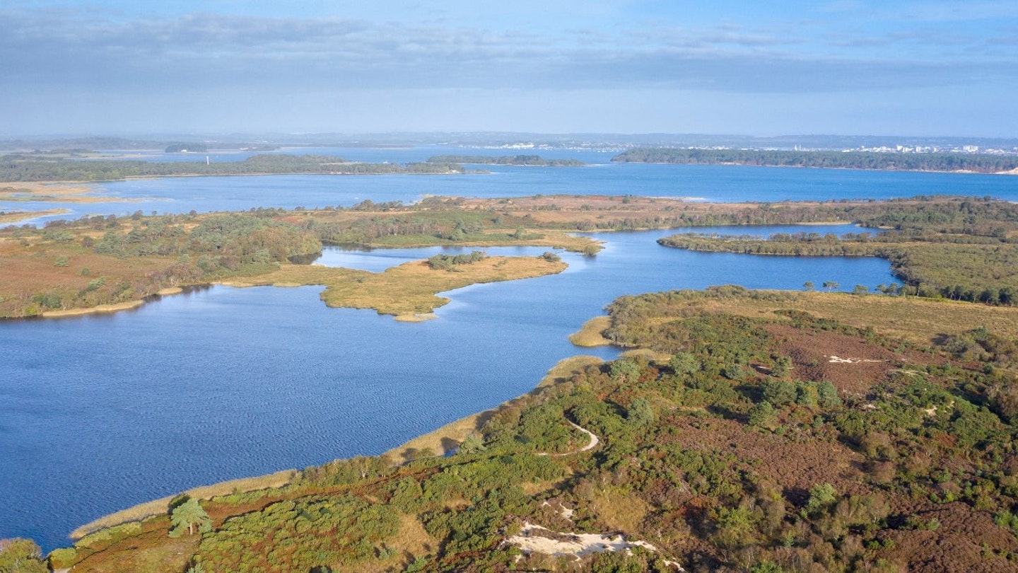 View of Studland dunes and freshwater lake, Purebeck